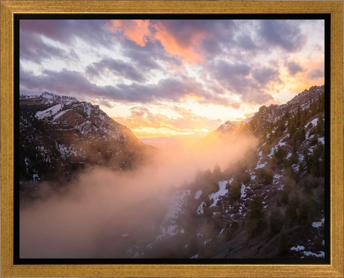 Winter Canyon