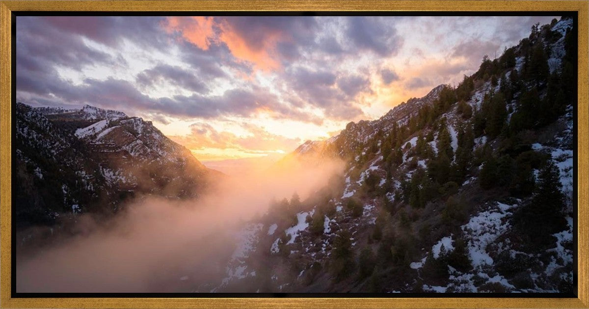 Winter Canyon