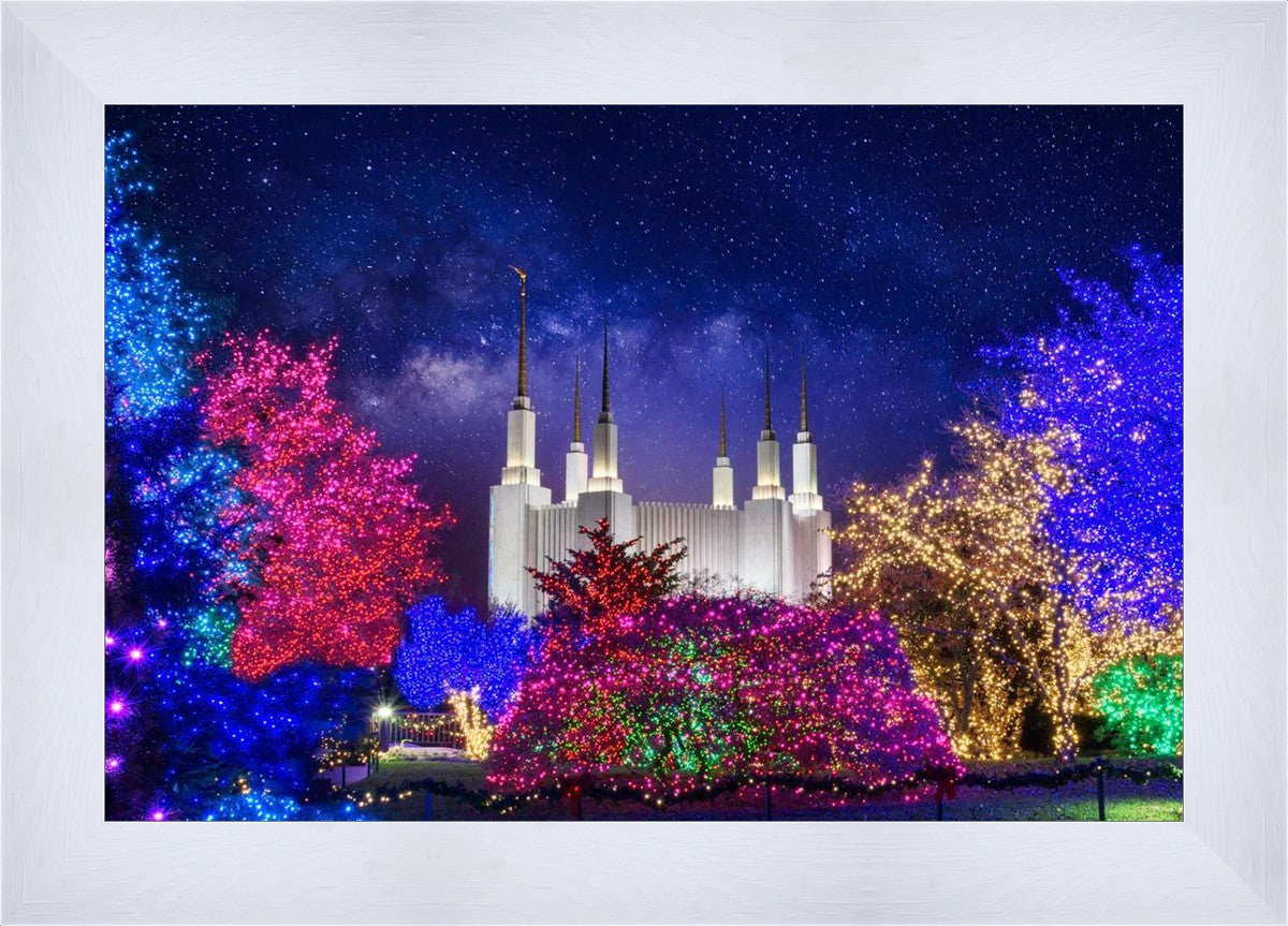 Washington DC Temple Christmas Lights