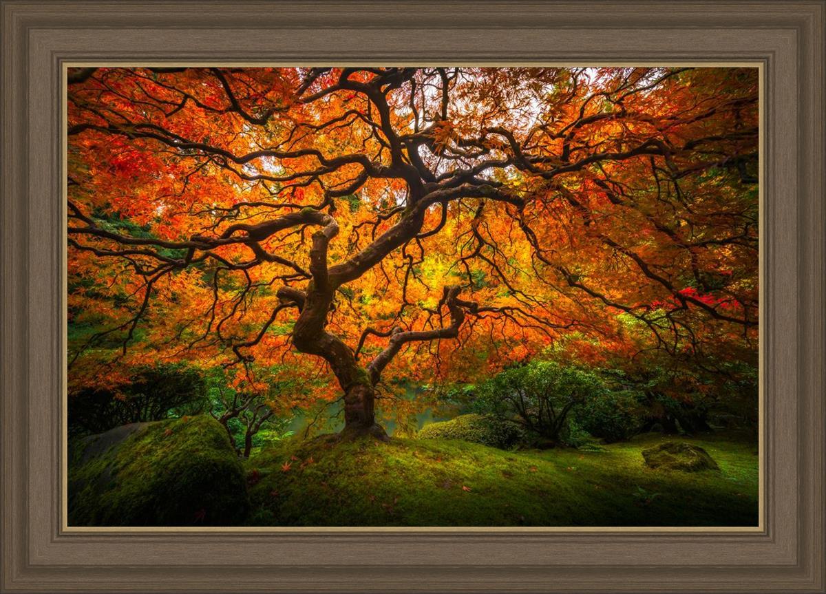 Tree of Perspective