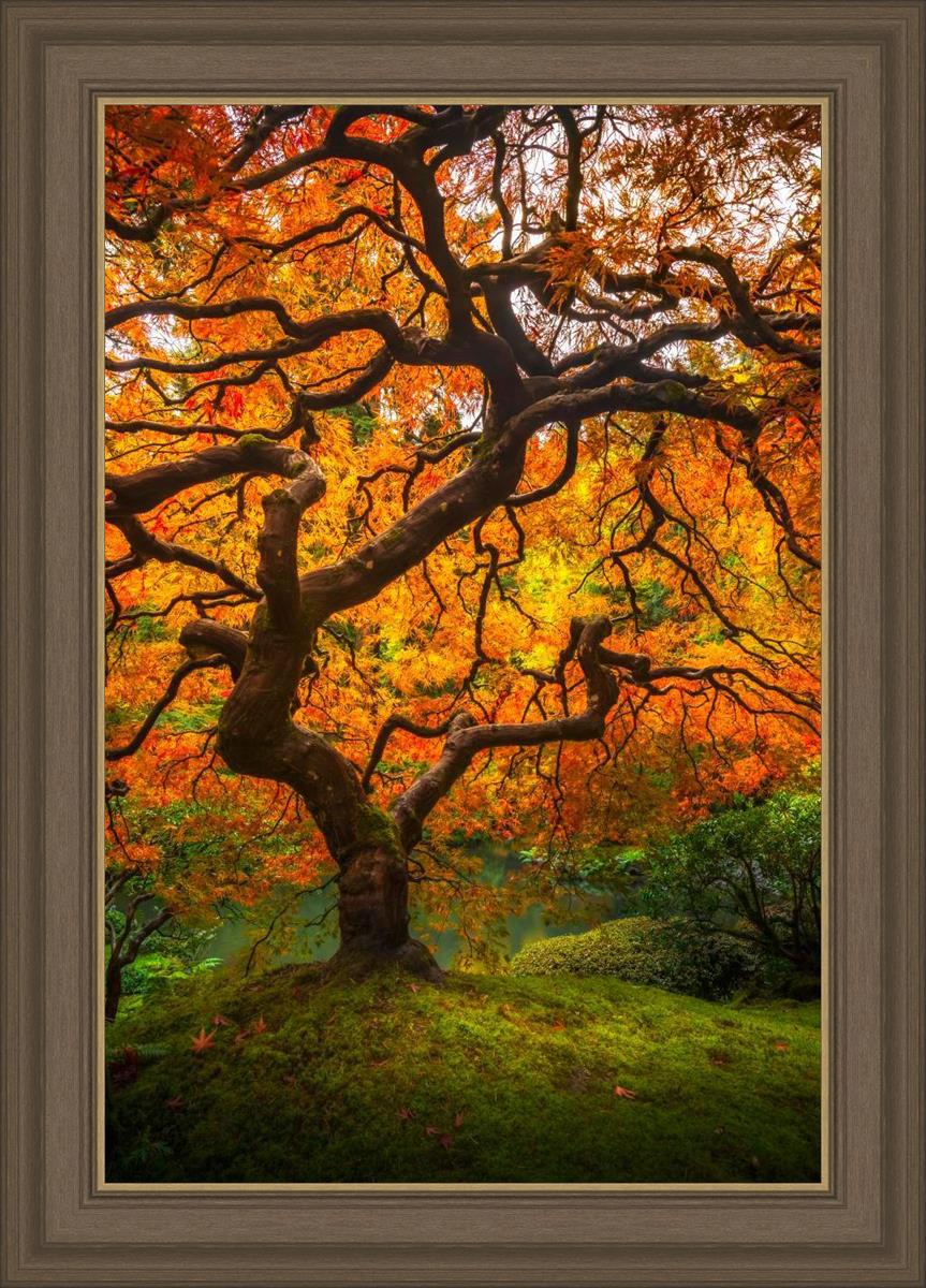 Tree of Perspective Vertical