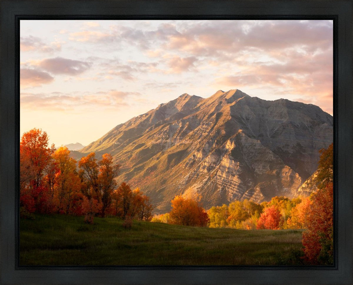 Timpanogos Autumn