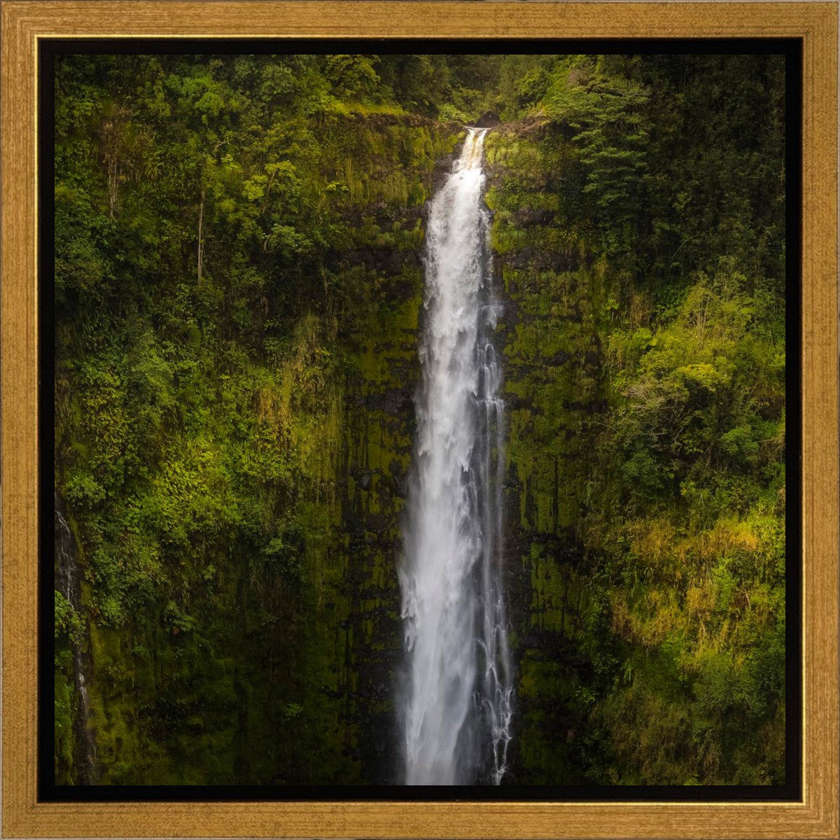 Akaka Falls, Hawaii