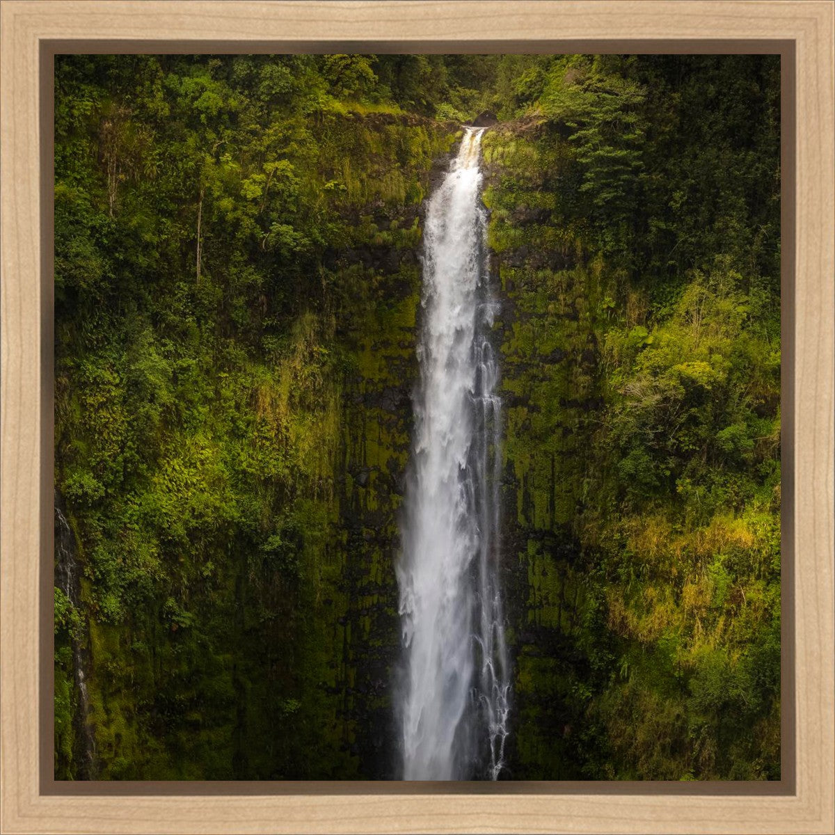 Akaka Falls, Hawaii