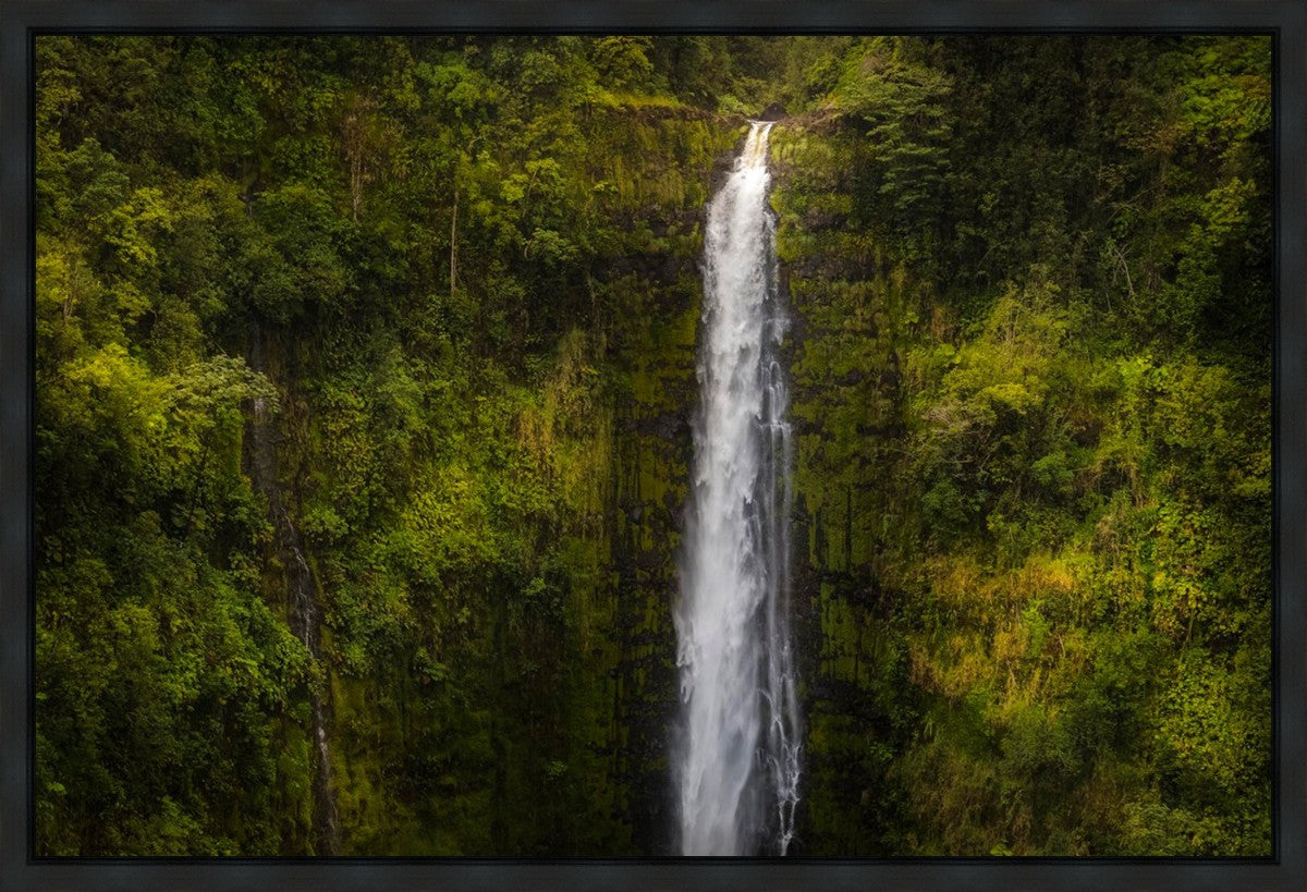 Akaka Falls, Hawaii