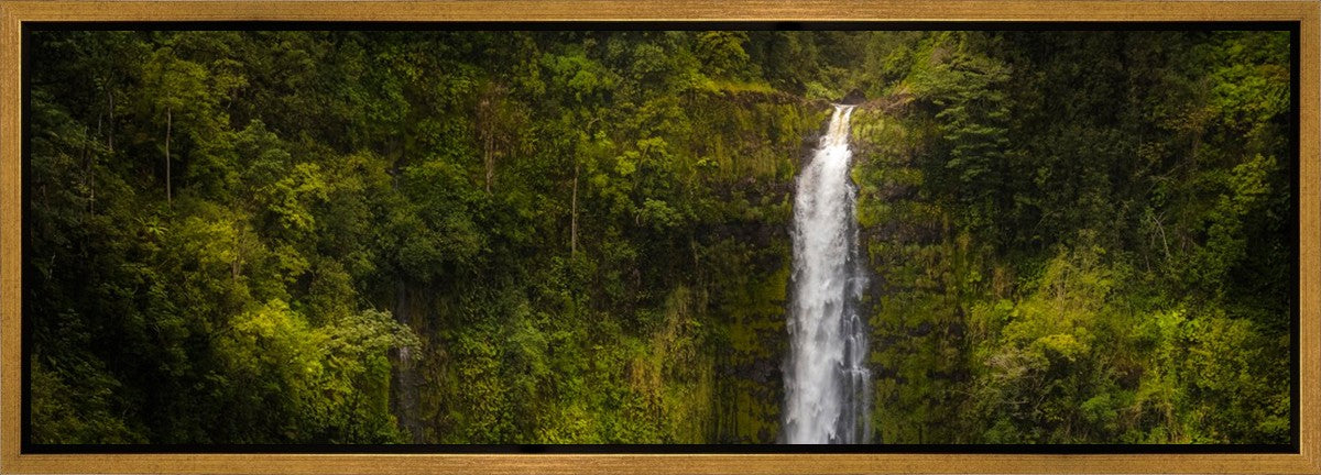 Akaka Falls, Hawaii