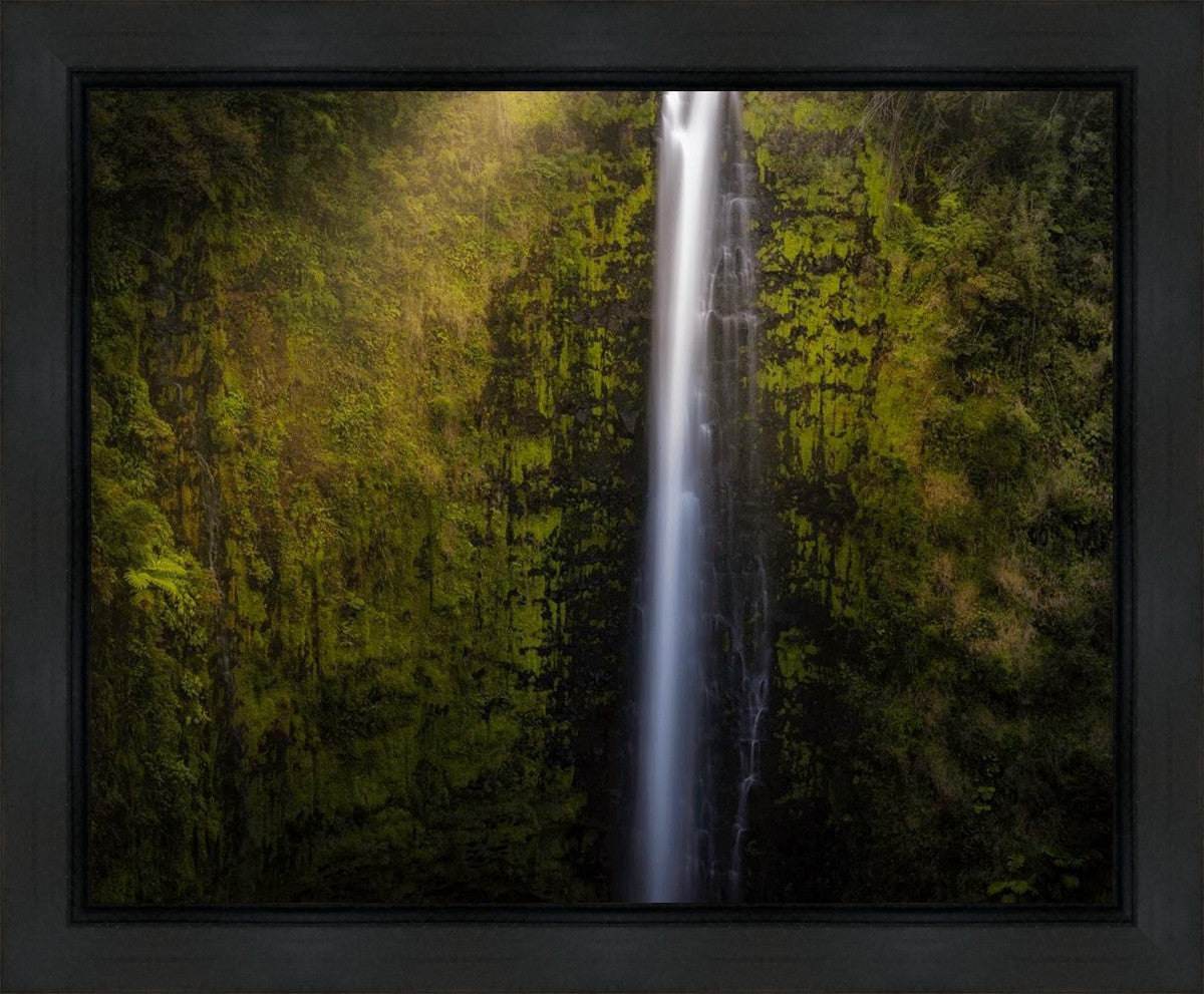 Akaka Falls Aloha