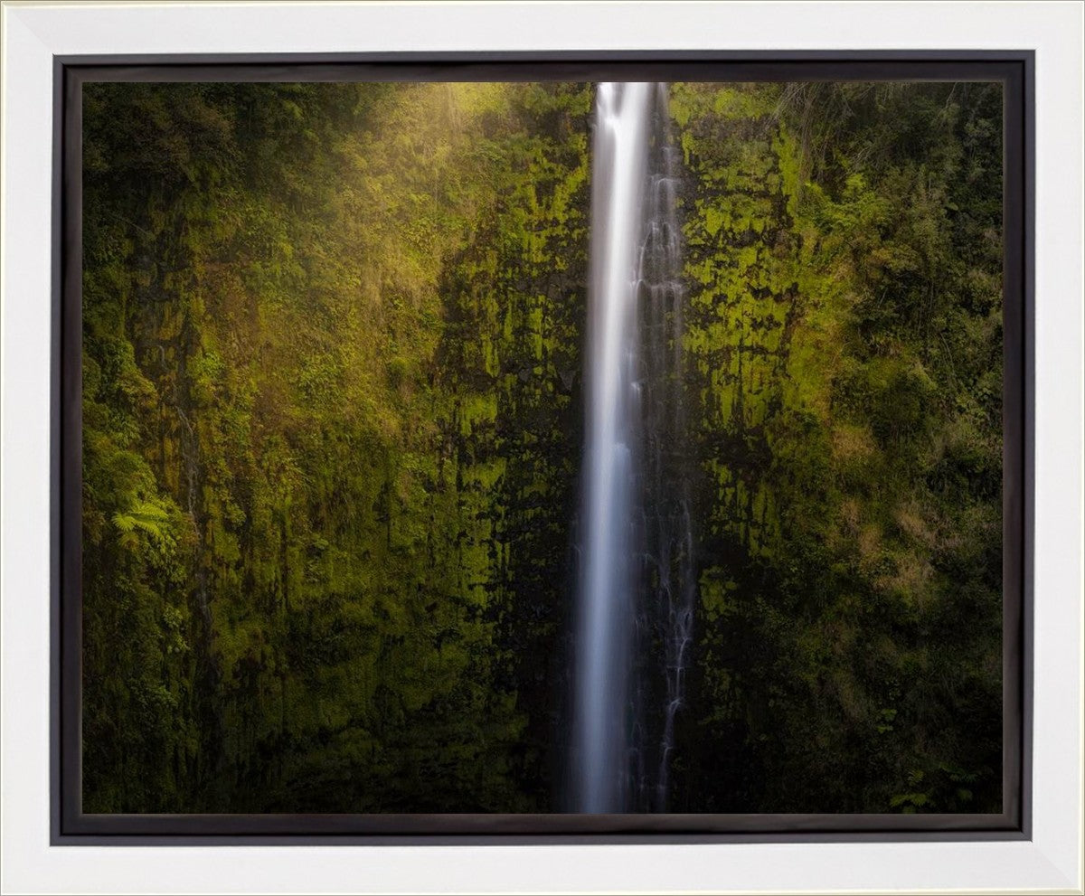 Akaka Falls Aloha
