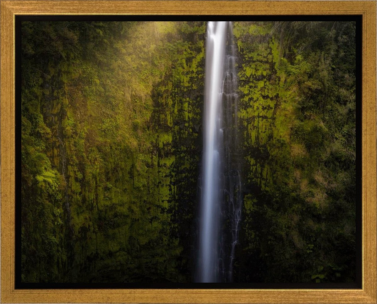 Akaka Falls Aloha