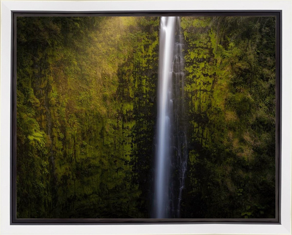 Akaka Falls Aloha