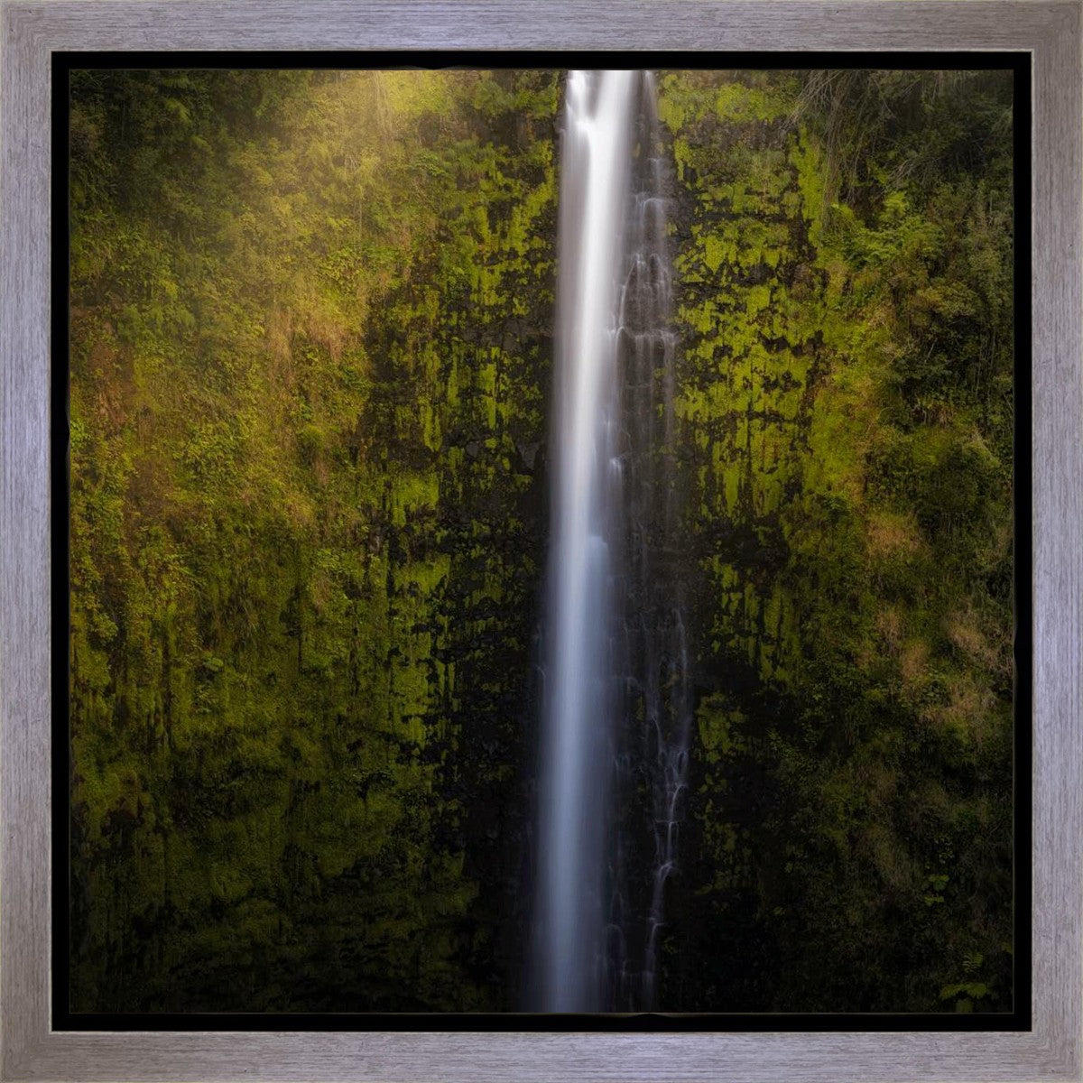 Akaka Falls Aloha