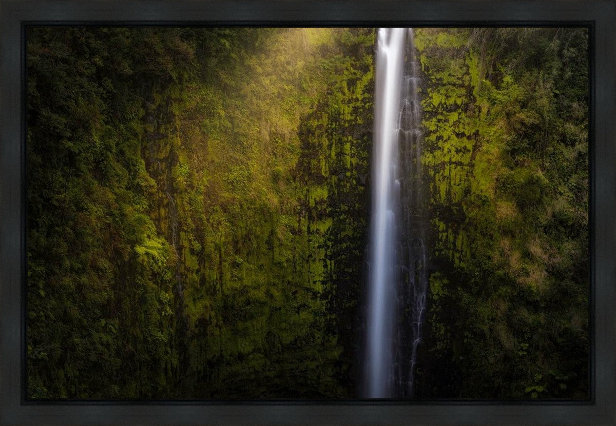 Akaka Falls Aloha