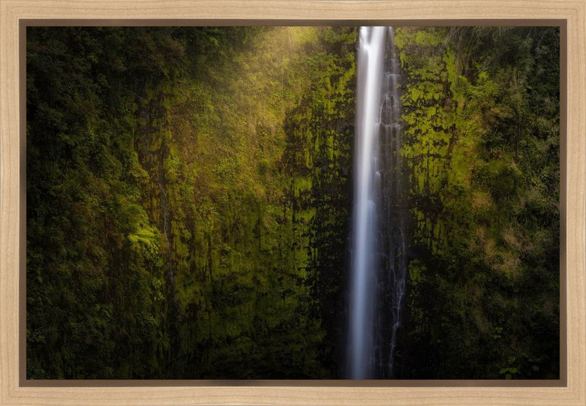 Akaka Falls Aloha