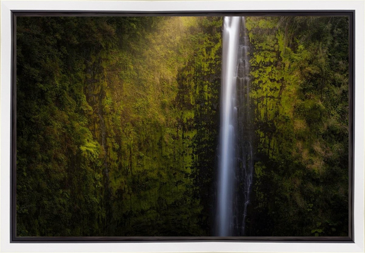 Akaka Falls Aloha