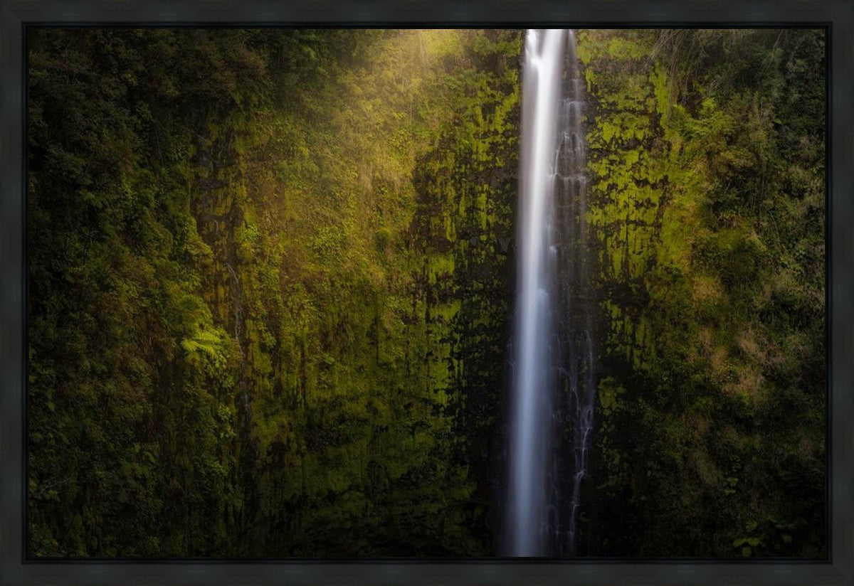 Akaka Falls Aloha