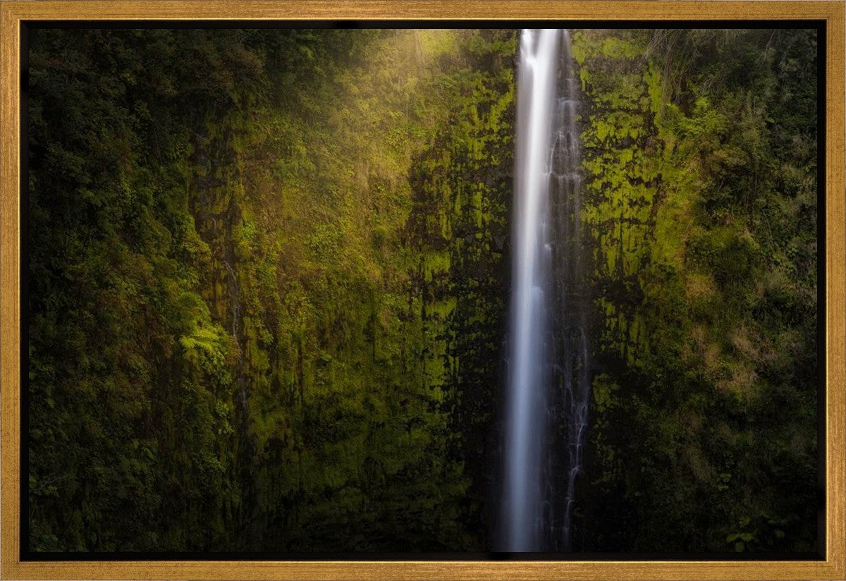 Akaka Falls Aloha