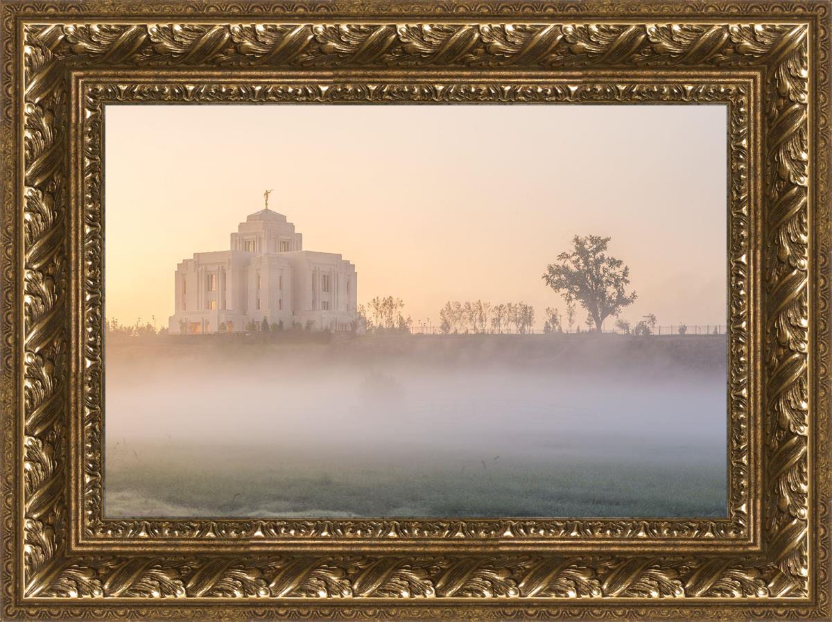 Meridian Morning Fog