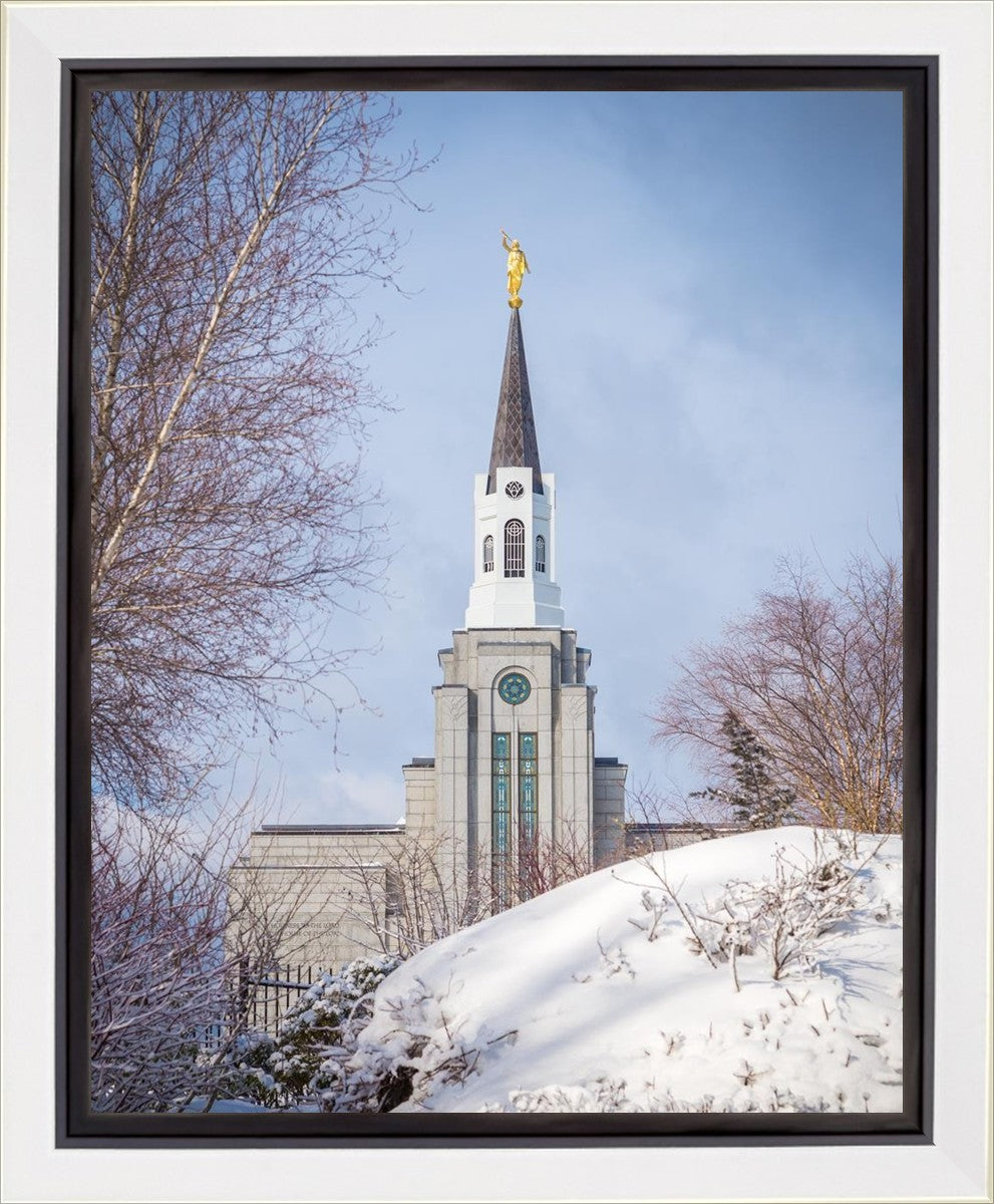 Boston Morning Snow Vertical
