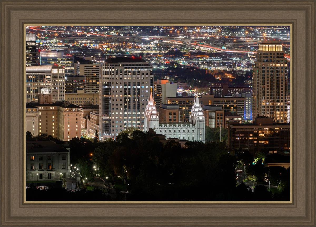 Salt Lake Temple City View