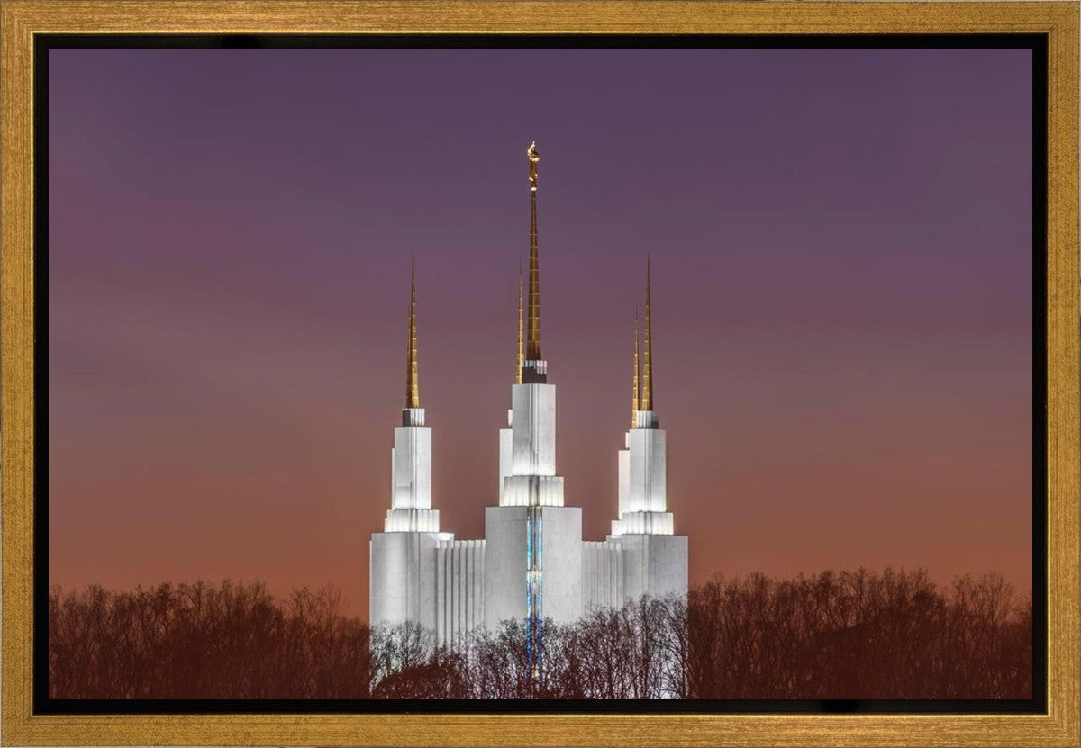 Washington DC Temple Evening Glow