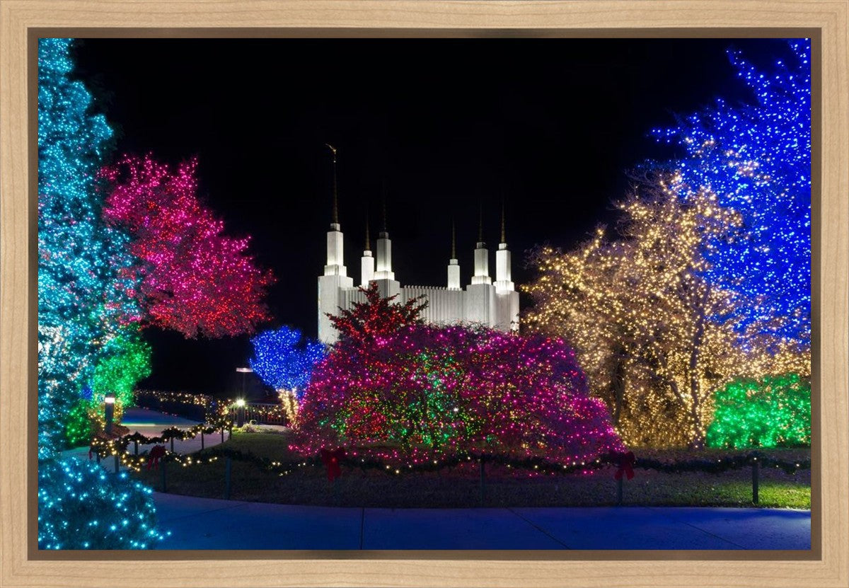 Washington DC Temple Colorful Christmas Gallery Wrap