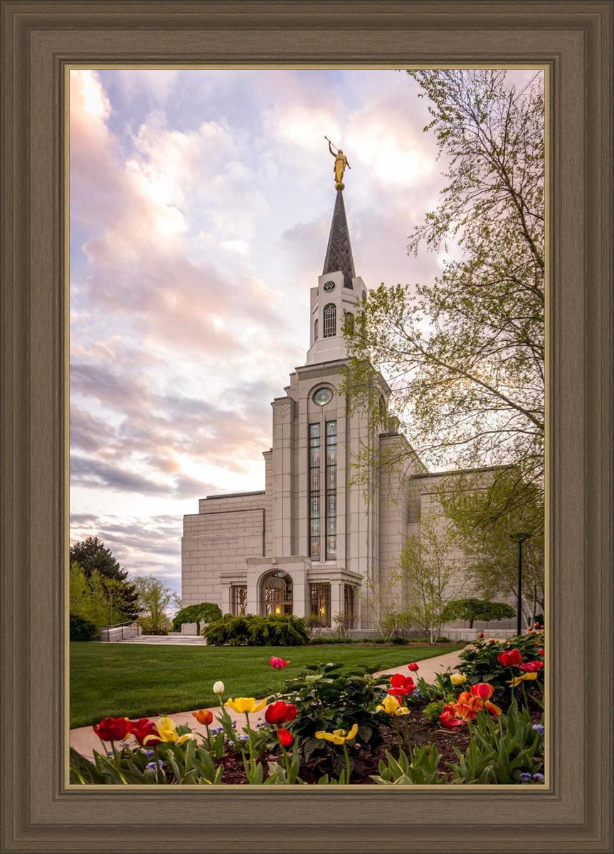 Boston Temple Spring Tulips