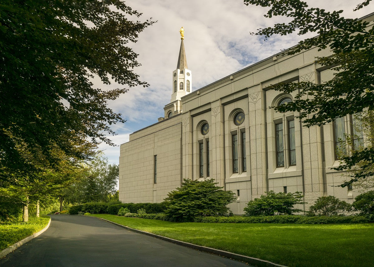 Boston Temple Trees Of Life Panoramic