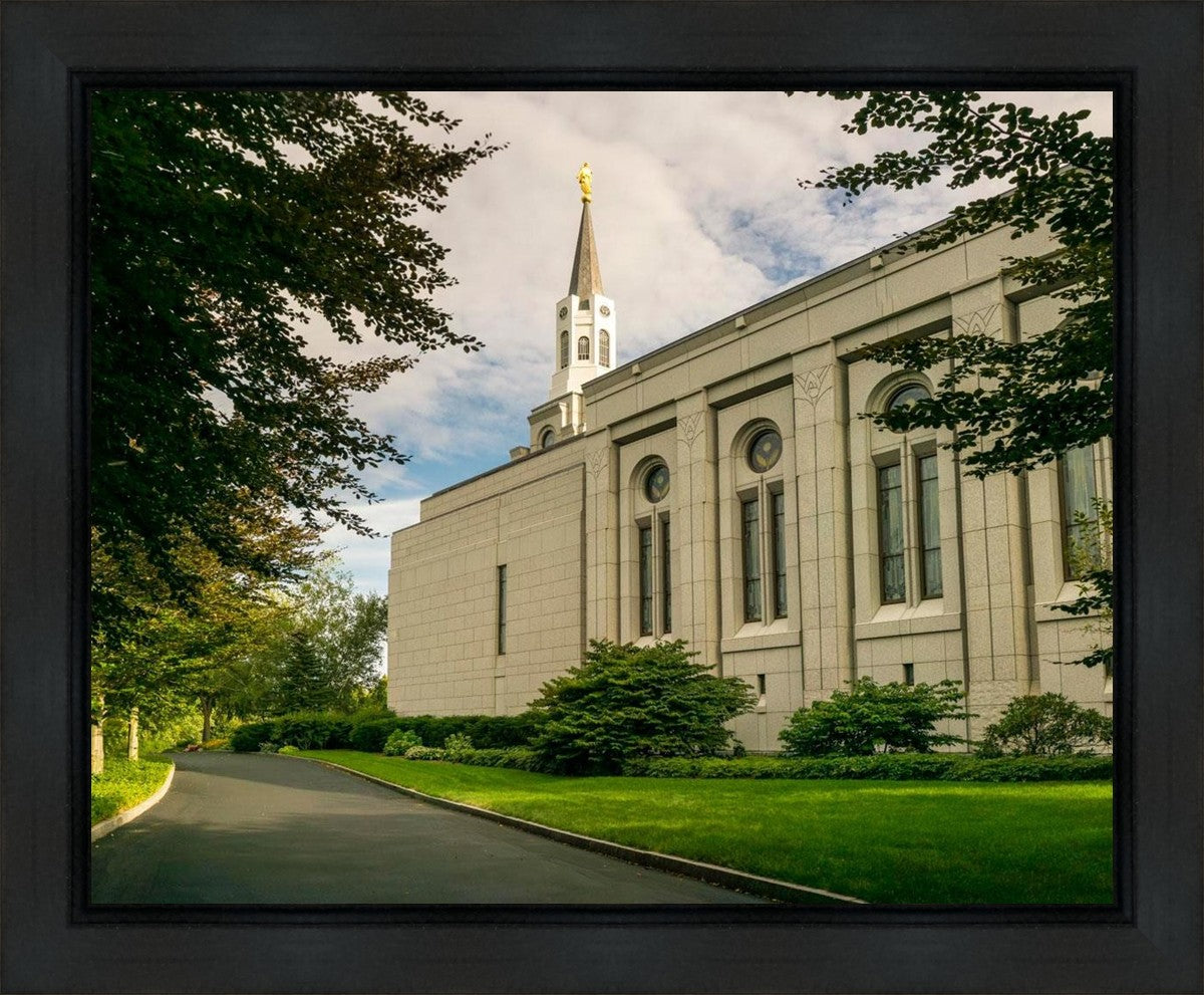 Boston Temple Trees Of Life Panoramic Gallery Wrap