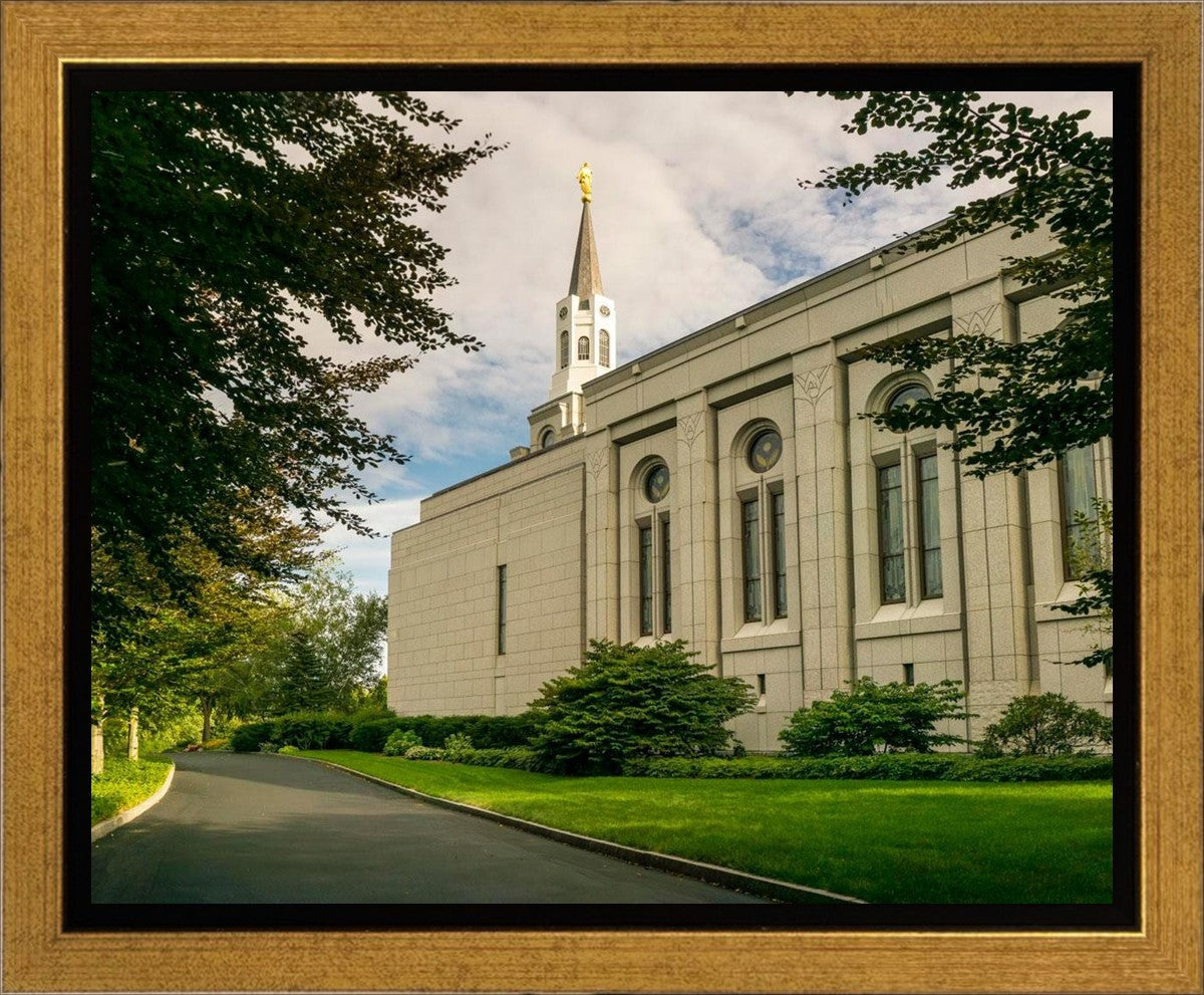 Boston Temple Trees Of Life Panoramic Gallery Wrap