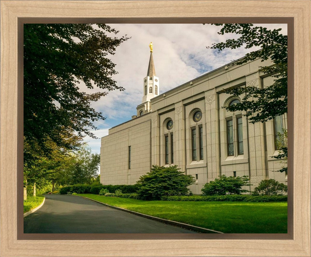 Boston Temple Trees Of Life Panoramic Gallery Wrap
