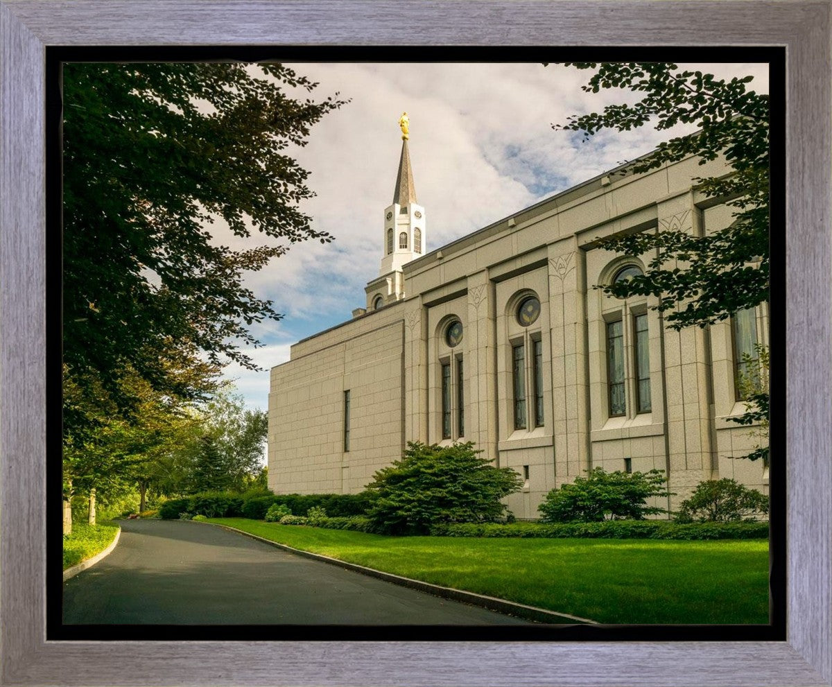 Boston Temple Trees Of Life Panoramic Gallery Wrap
