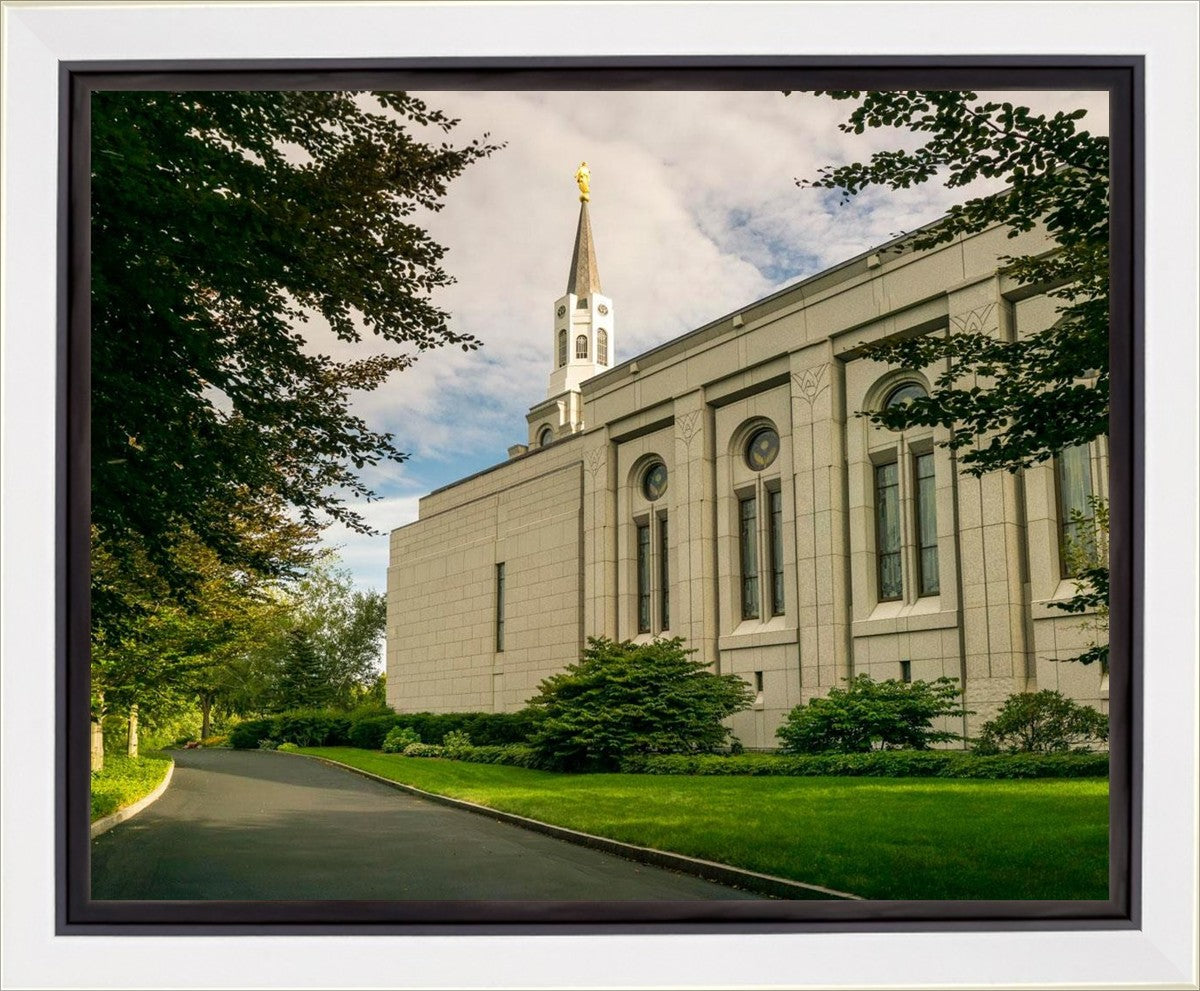 Boston Temple Trees Of Life Panoramic Gallery Wrap