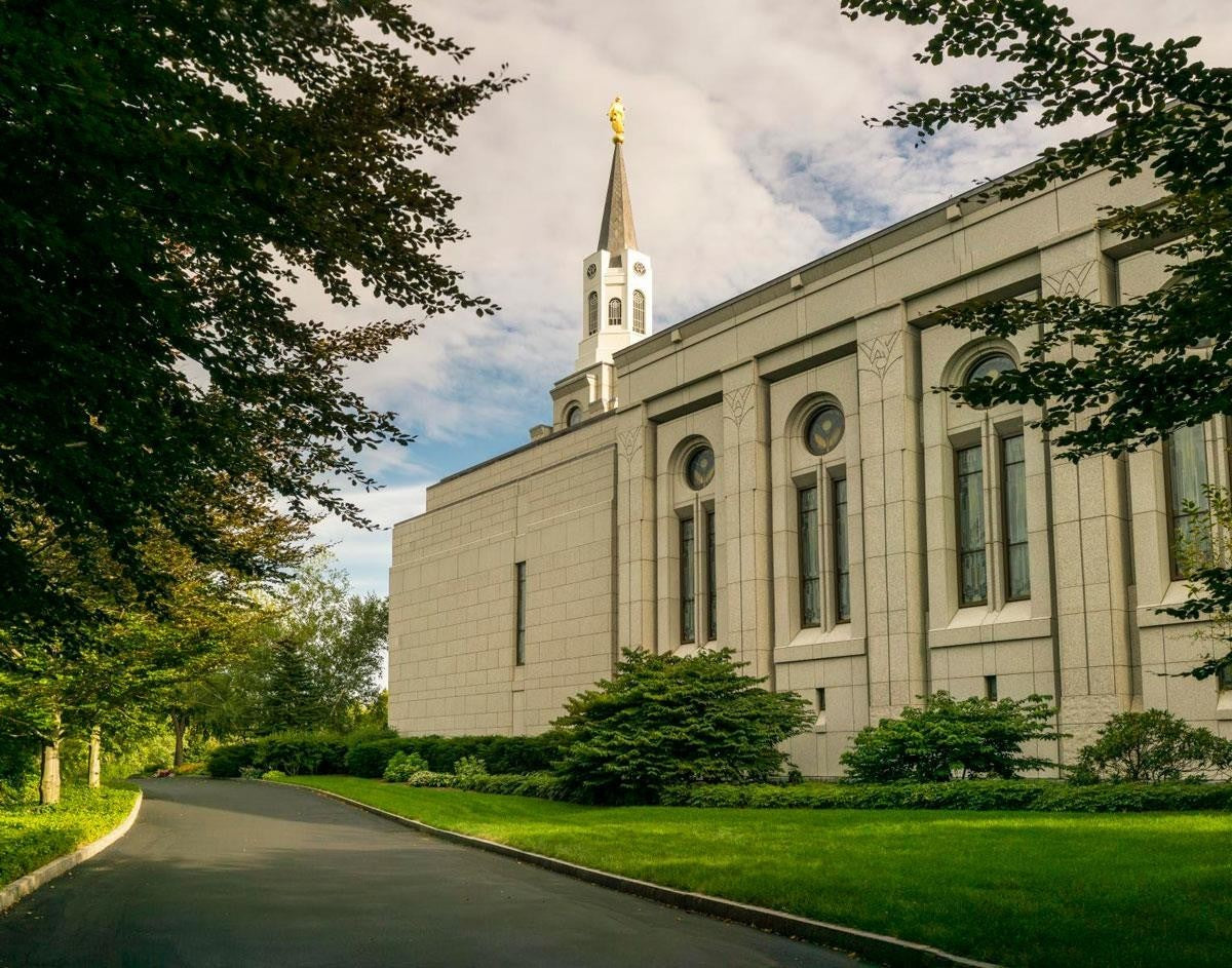 Boston Temple Trees Of Life Panoramic Gallery Wrap