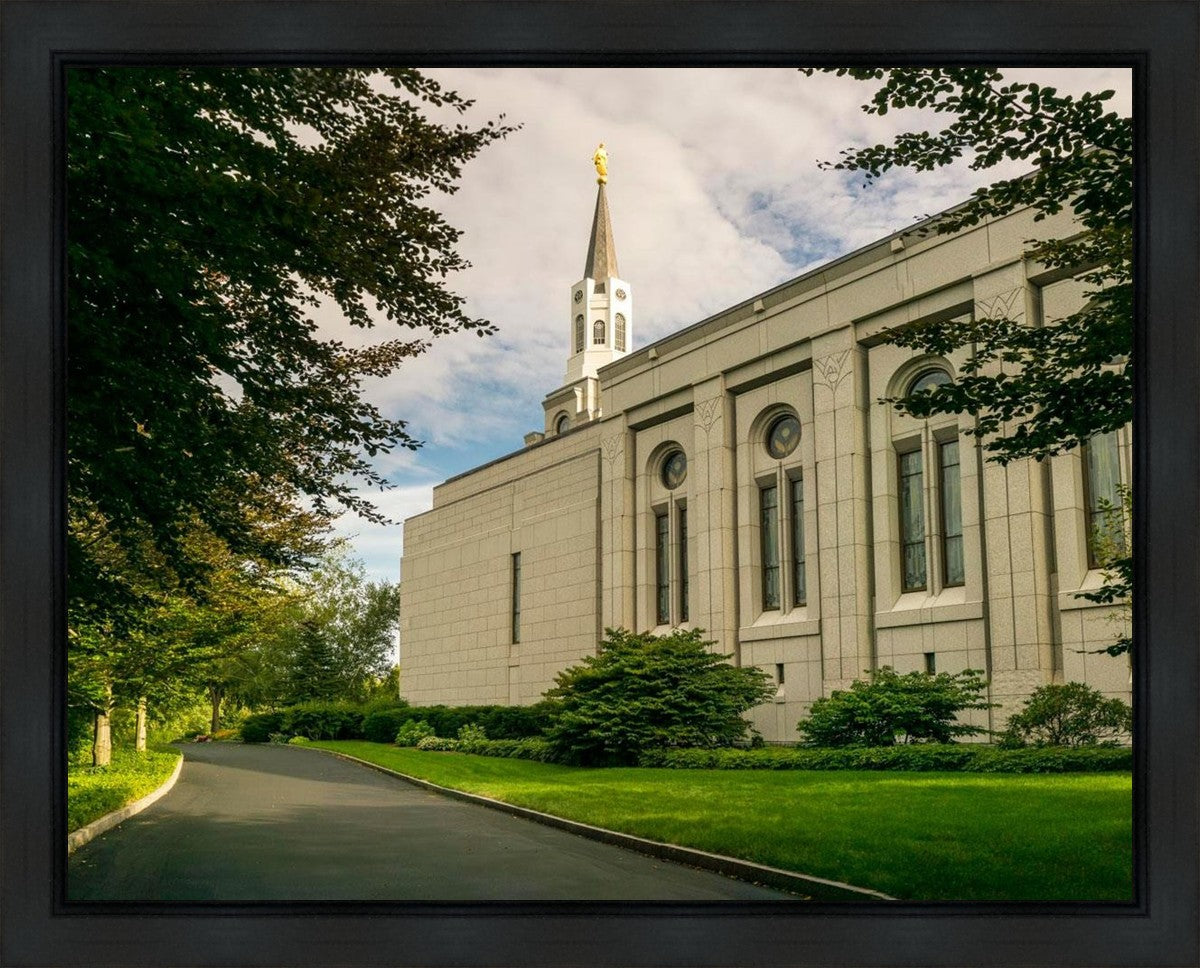 Boston Temple Trees Of Life Panoramic Gallery Wrap