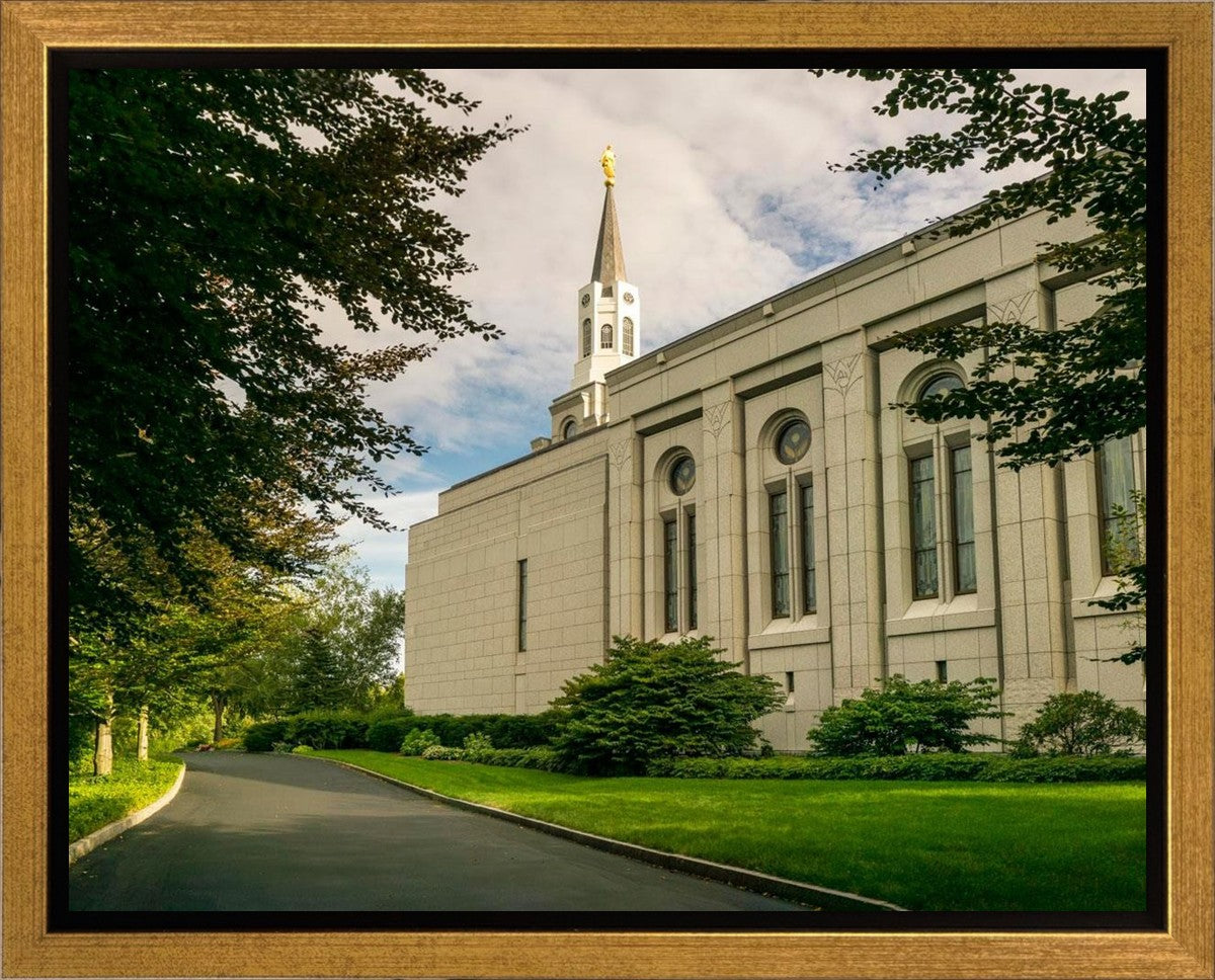 Boston Temple Trees Of Life Panoramic Gallery Wrap