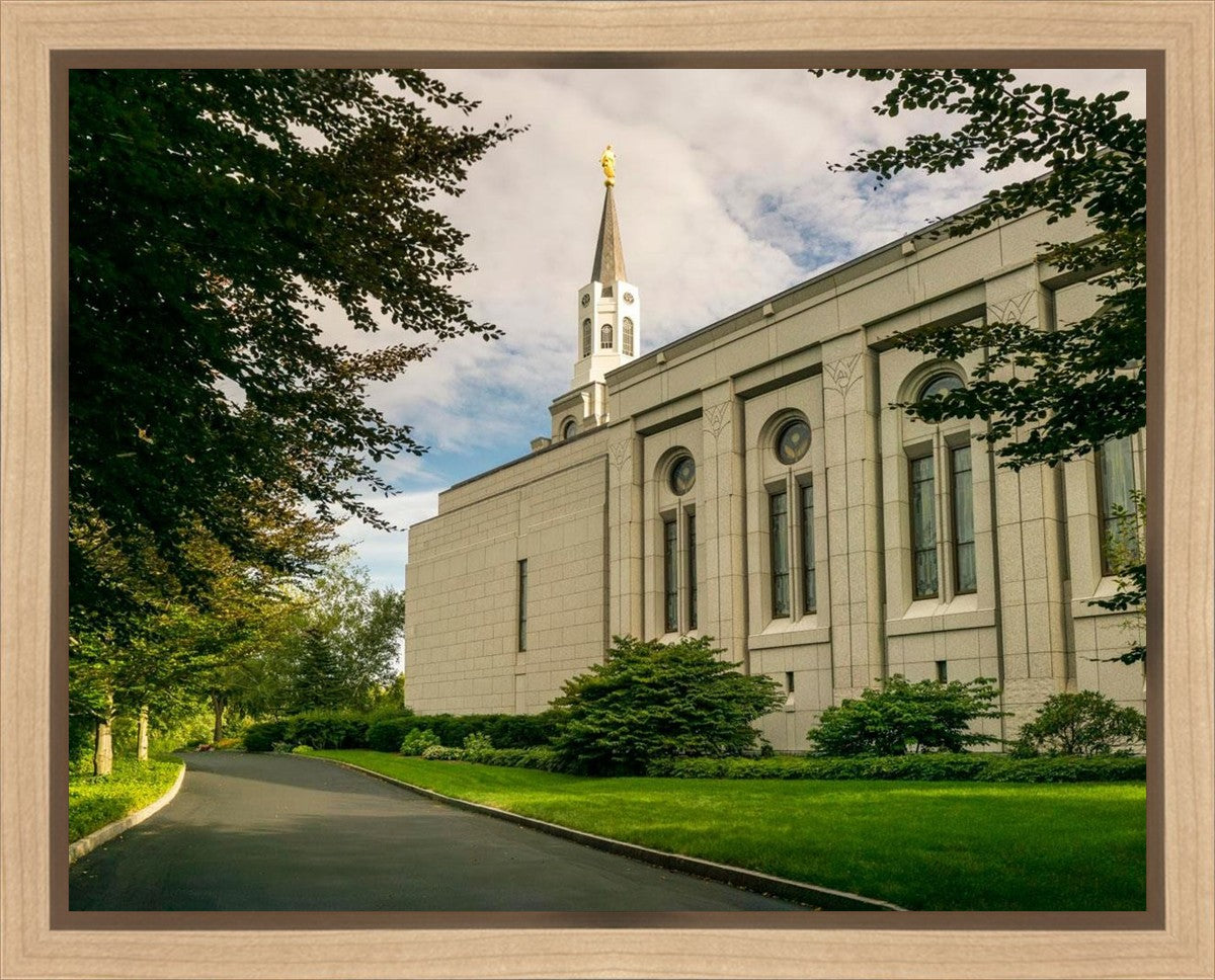 Boston Temple Trees Of Life Panoramic Gallery Wrap