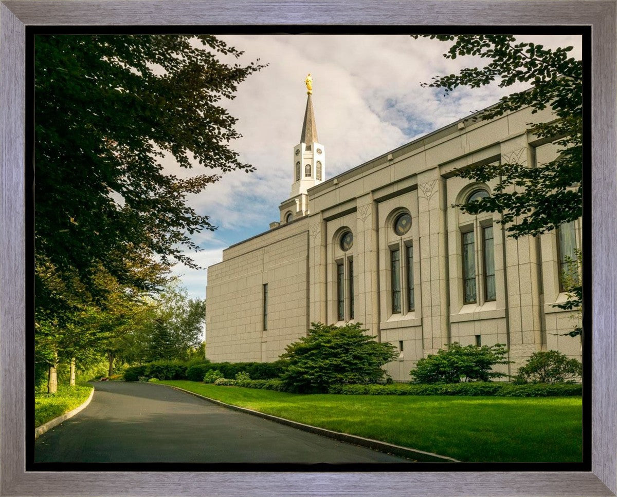 Boston Temple Trees Of Life Panoramic Gallery Wrap