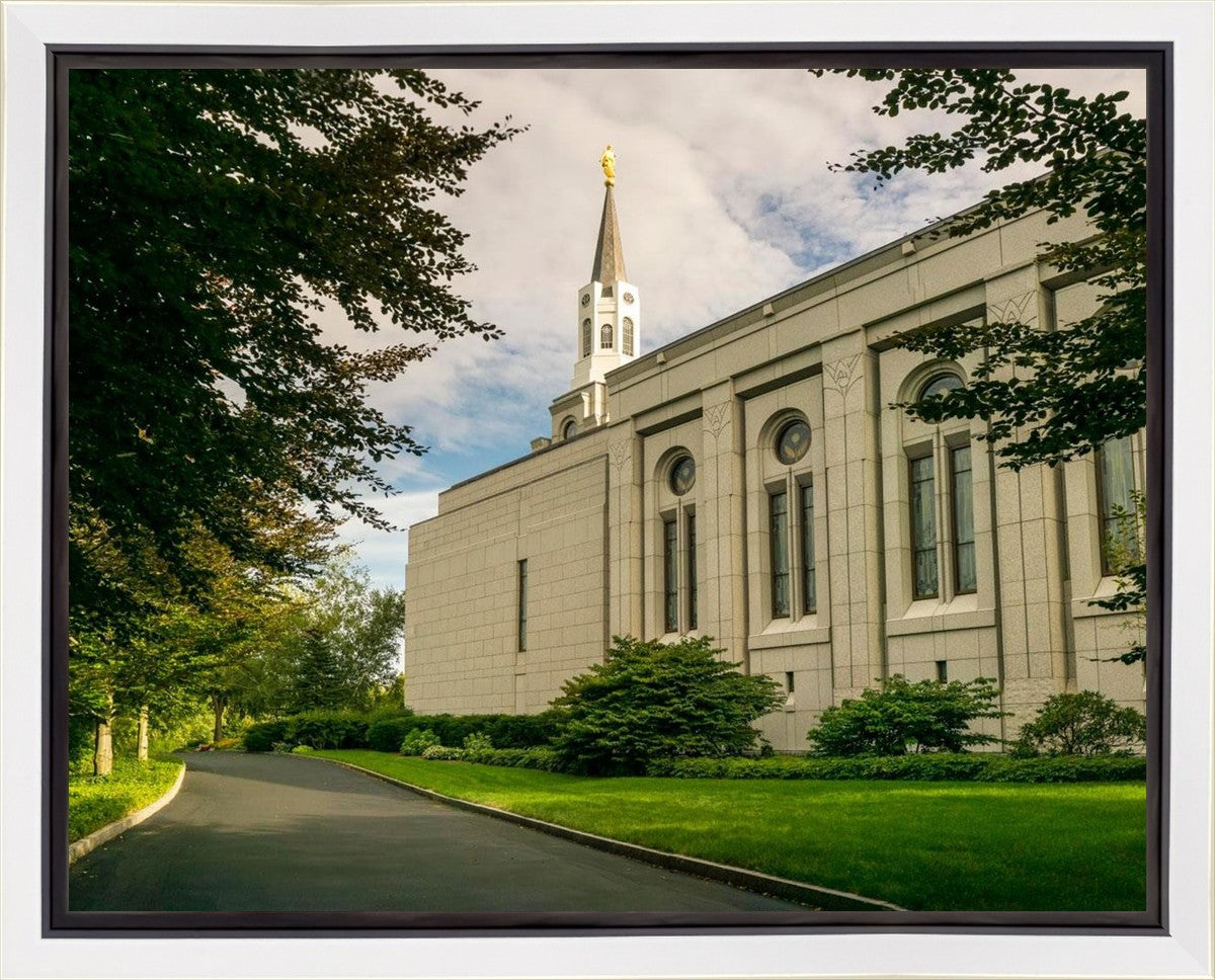 Boston Temple Trees Of Life Panoramic Gallery Wrap