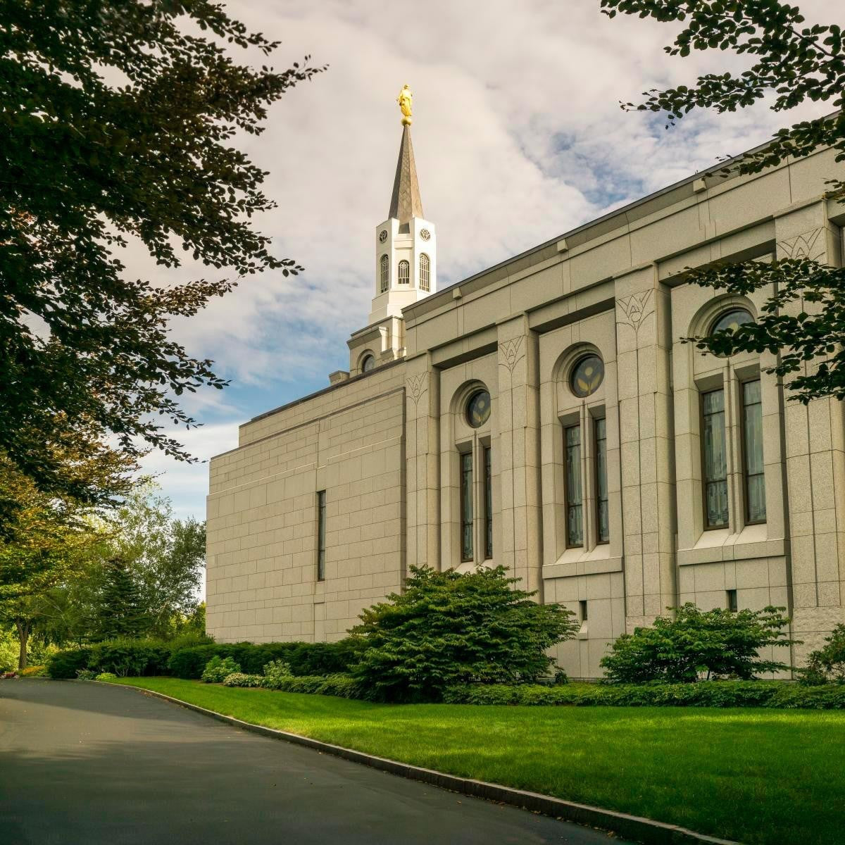 Boston Temple Trees Of Life Panoramic Gallery Wrap