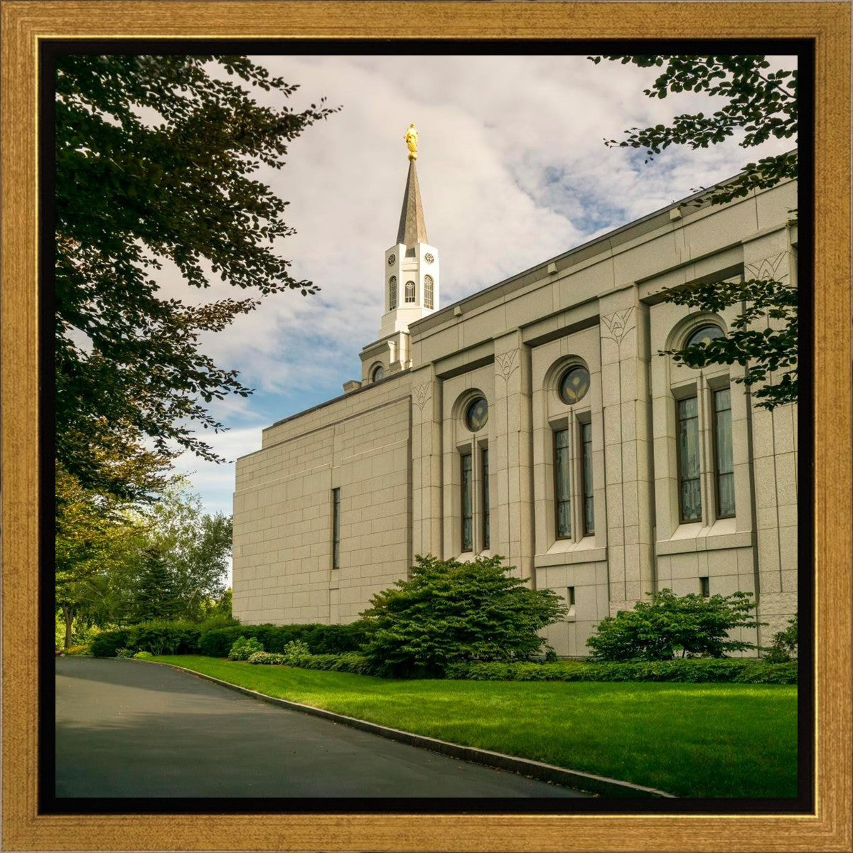Boston Temple Trees Of Life Panoramic Gallery Wrap