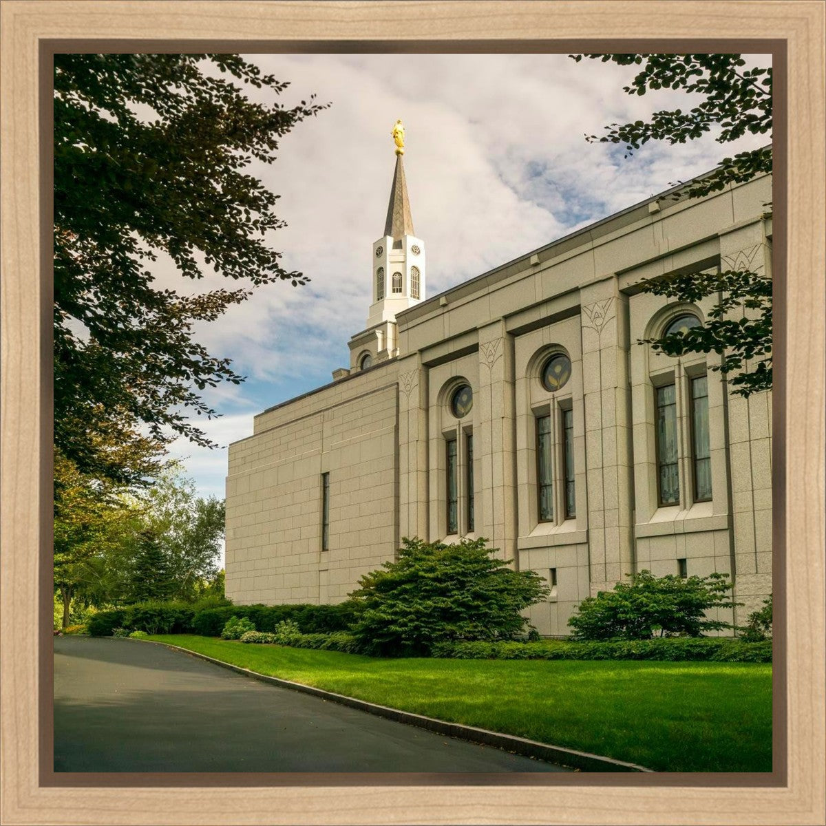 Boston Temple Trees Of Life Panoramic Gallery Wrap