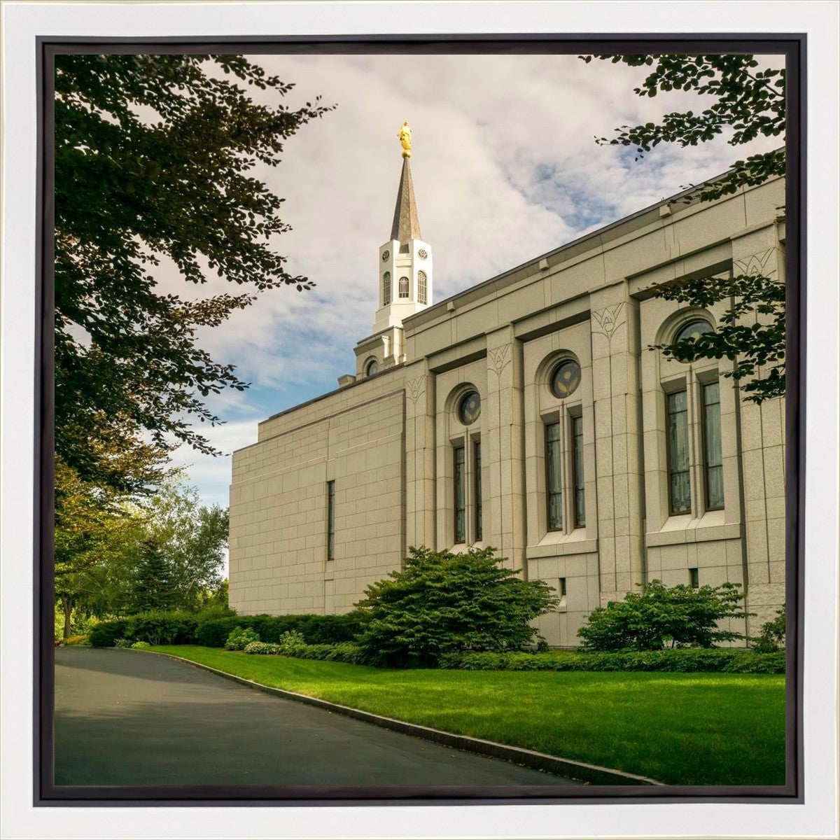 Boston Temple Trees Of Life Panoramic Gallery Wrap