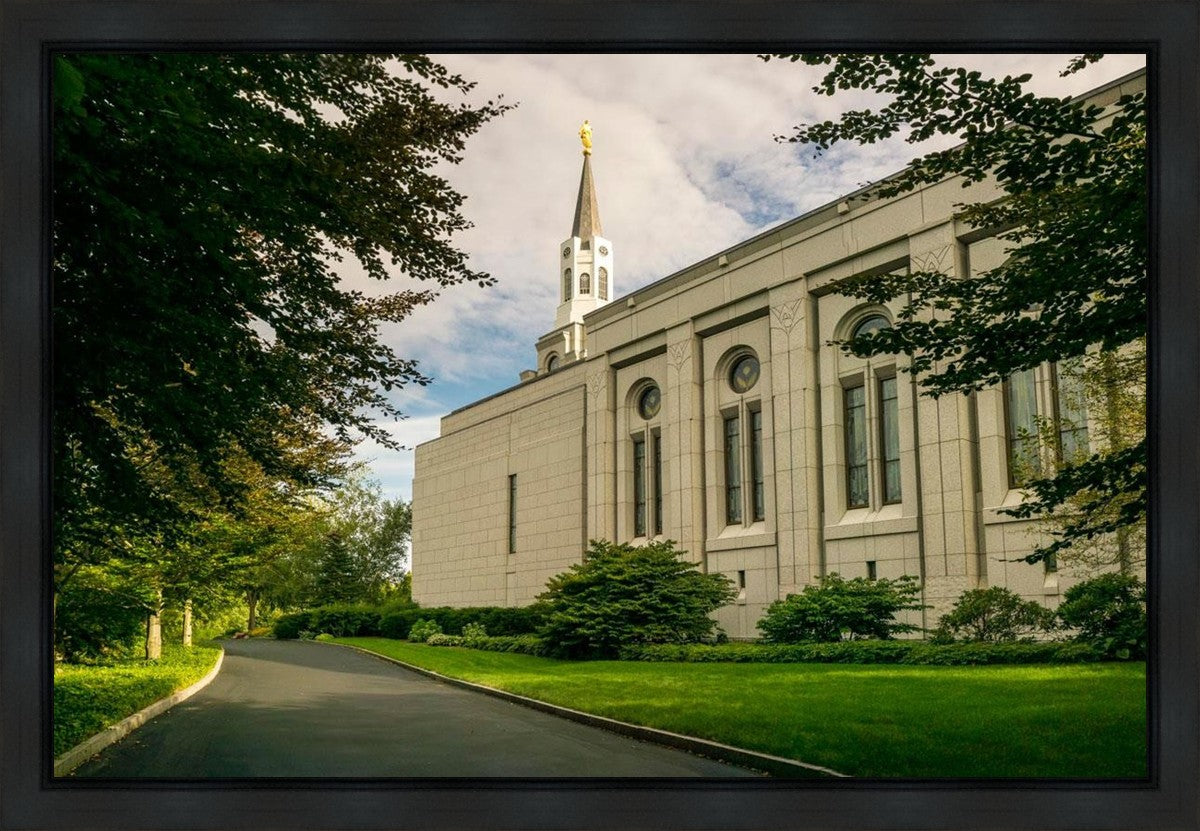 Boston Temple Trees Of Life Panoramic Gallery Wrap