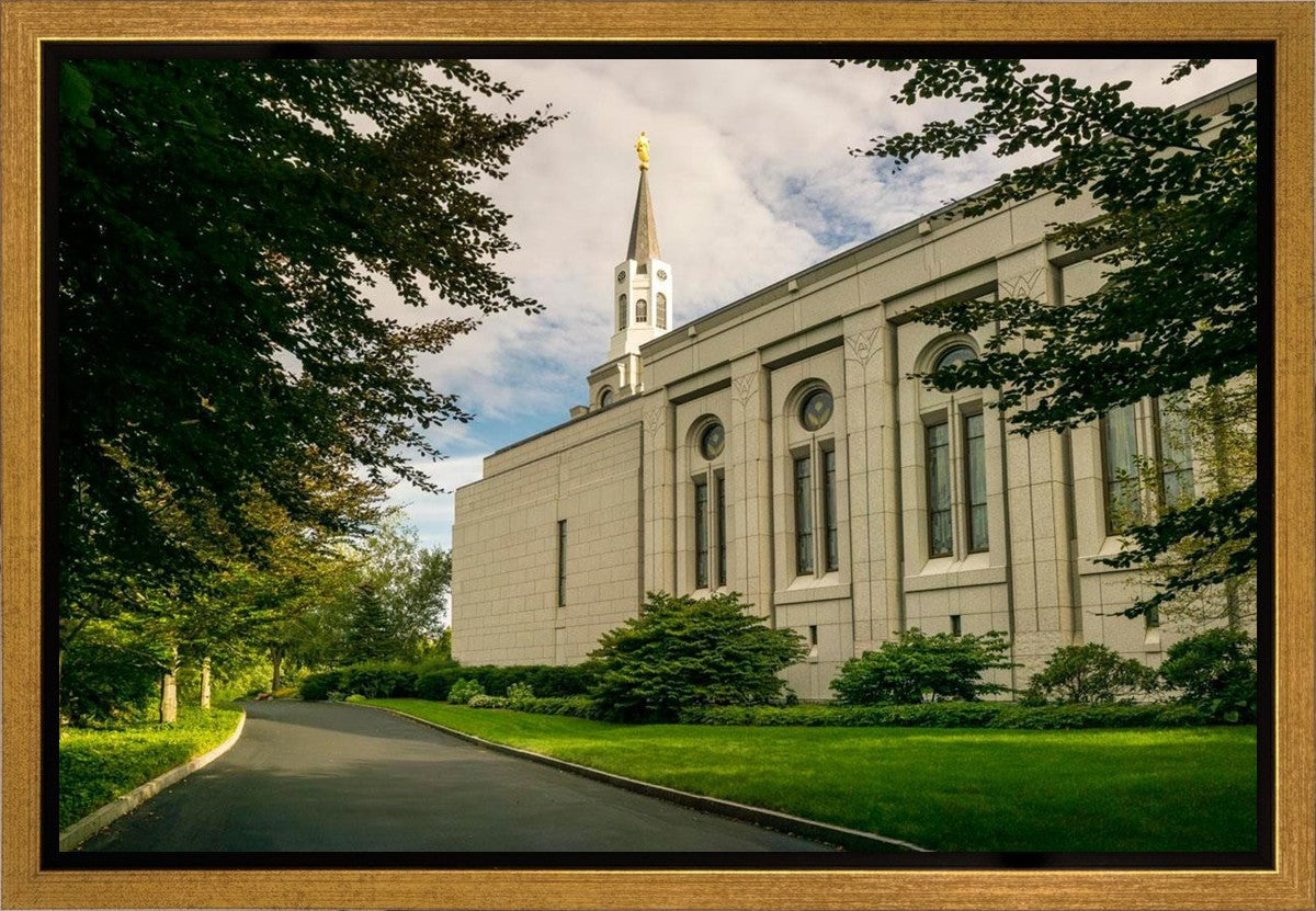 Boston Temple Trees Of Life Panoramic Gallery Wrap