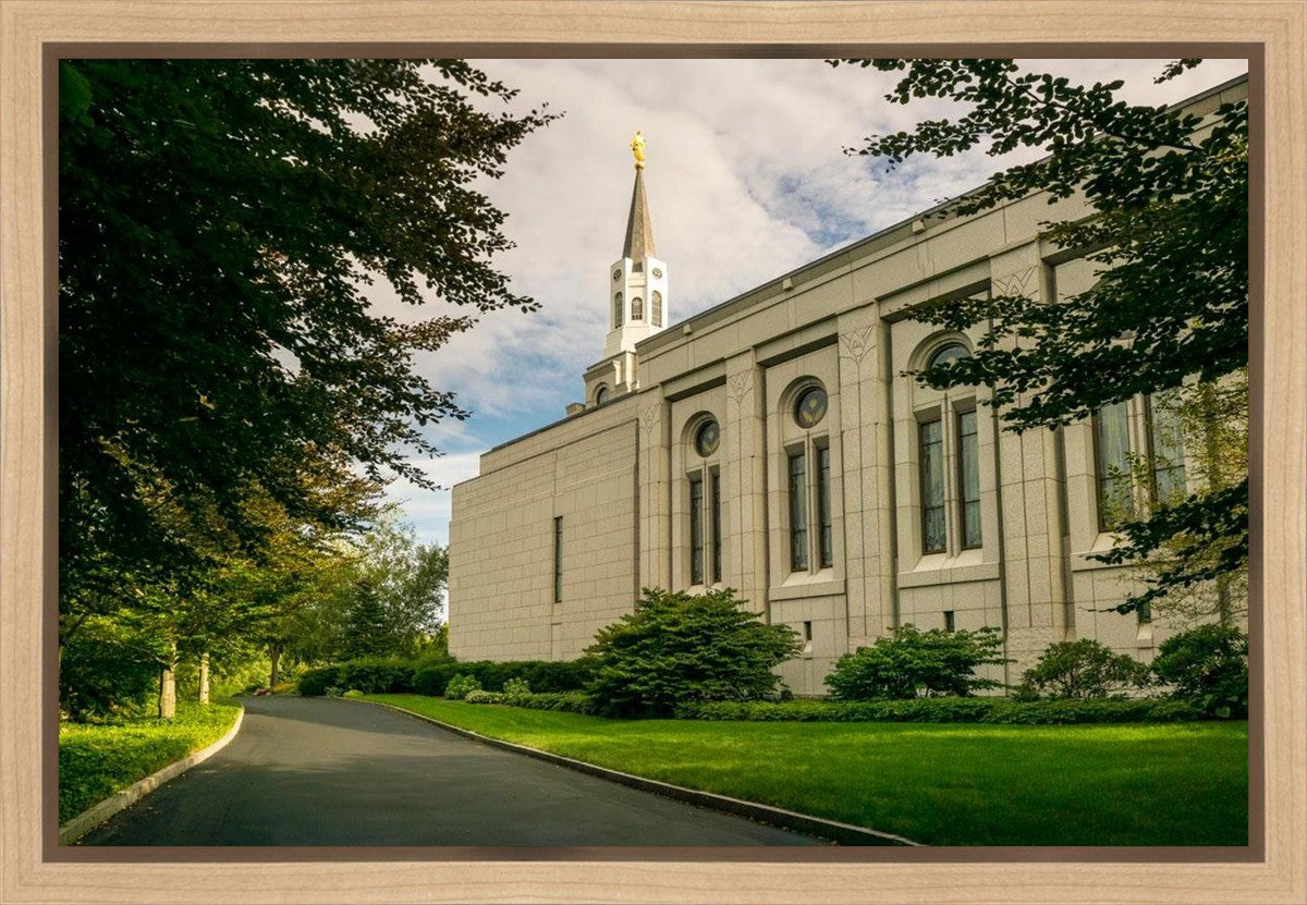 Boston Temple Trees Of Life Panoramic Gallery Wrap