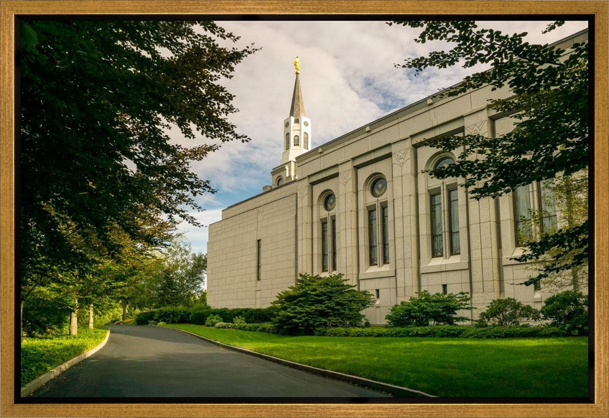 Boston Temple Trees Of Life Panoramic Gallery Wrap