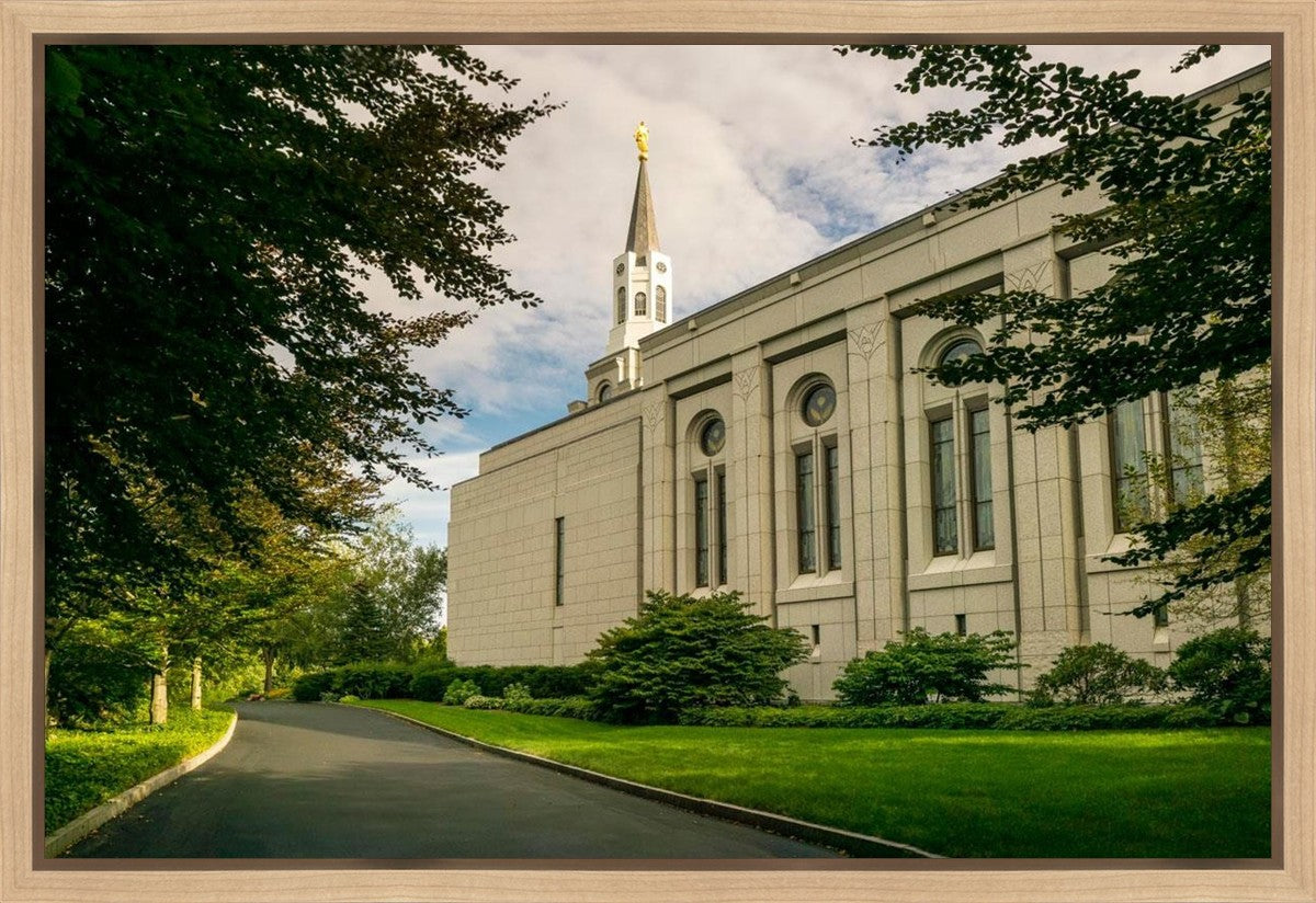Boston Temple Trees Of Life Panoramic Gallery Wrap