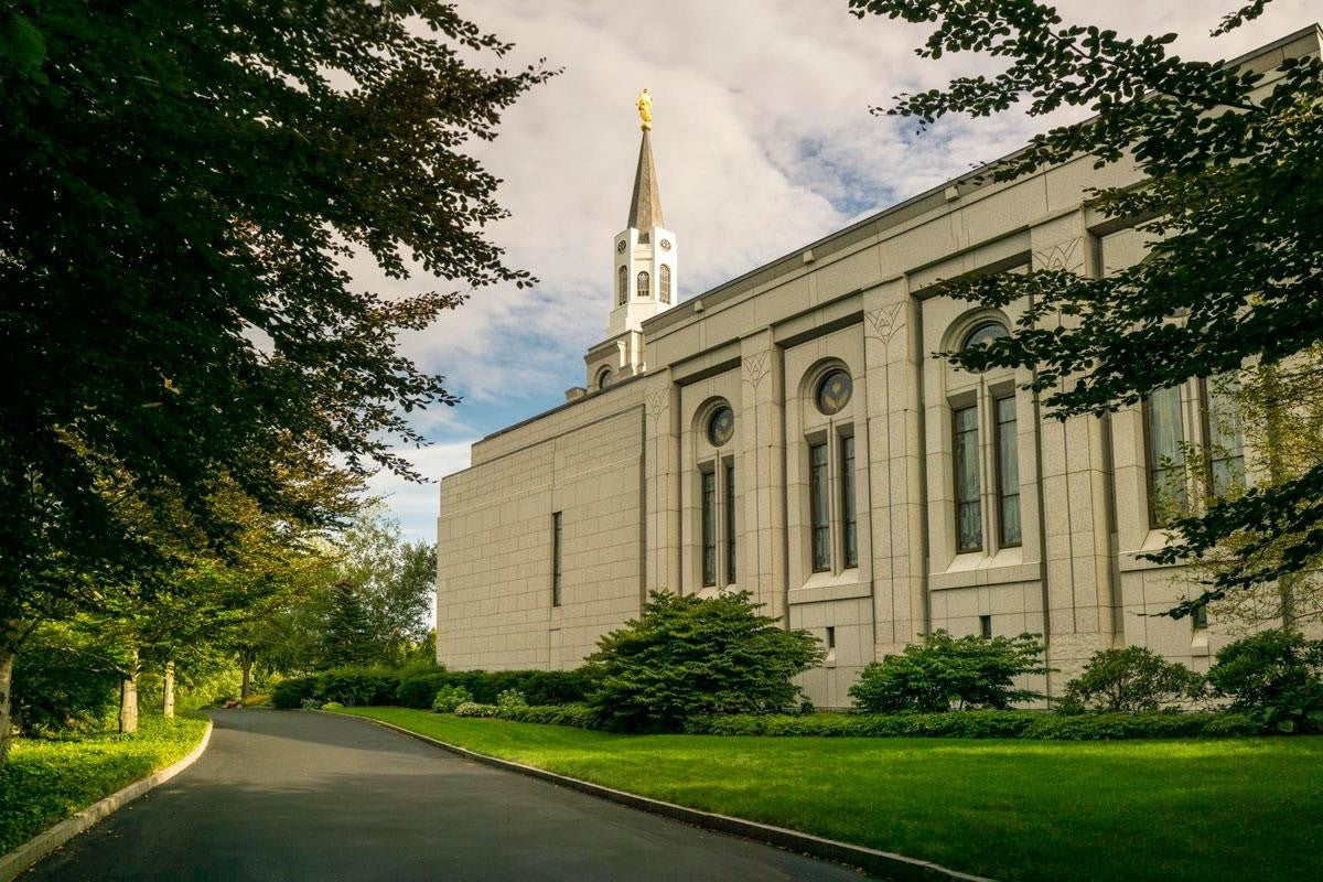 Boston Temple Trees Of Life Panoramic Gallery Wrap