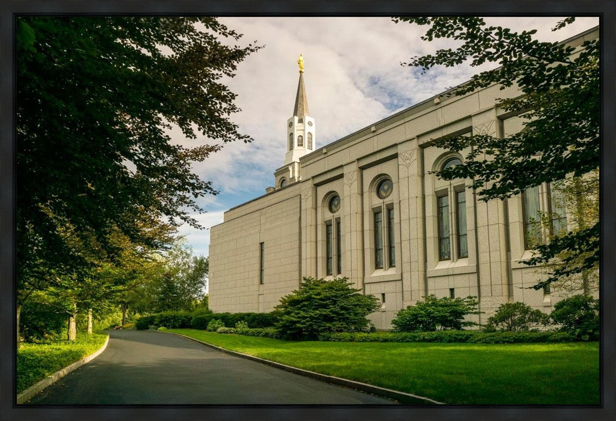 Boston Temple Trees Of Life Panoramic Gallery Wrap