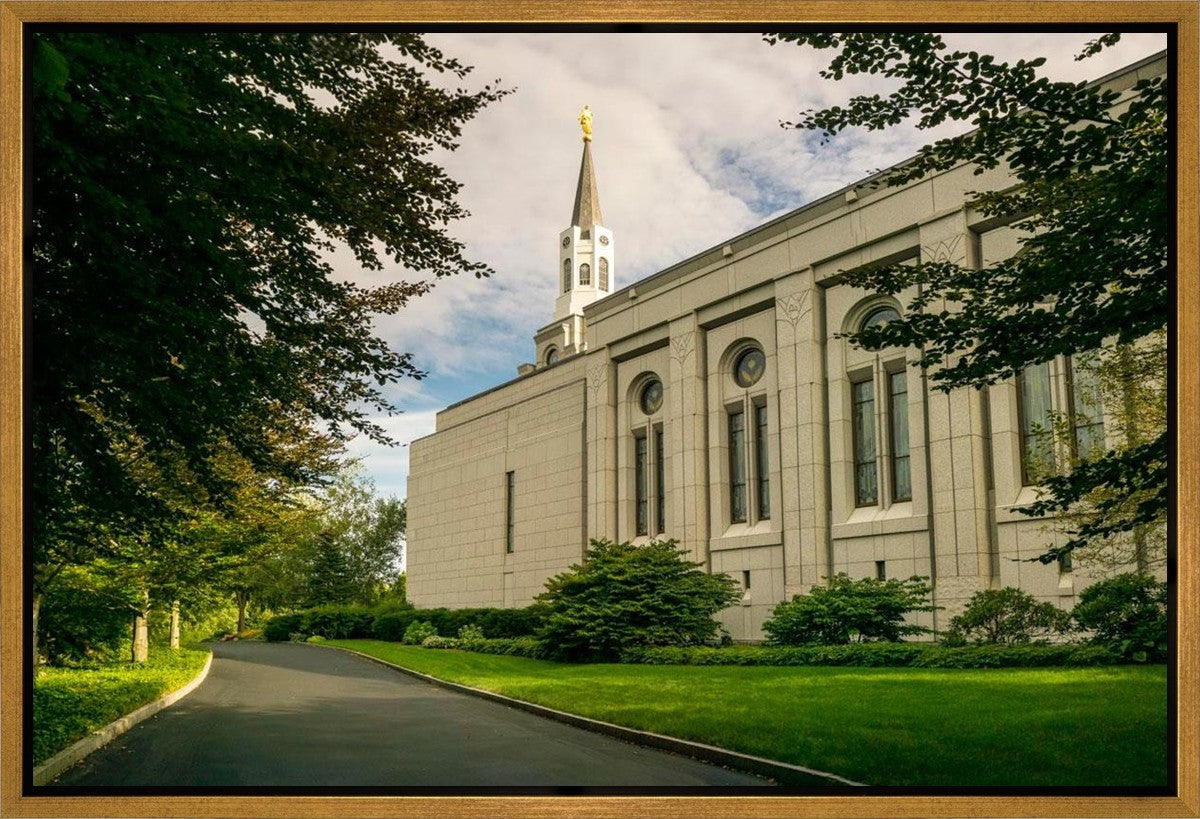 Boston Temple Trees Of Life Panoramic Gallery Wrap